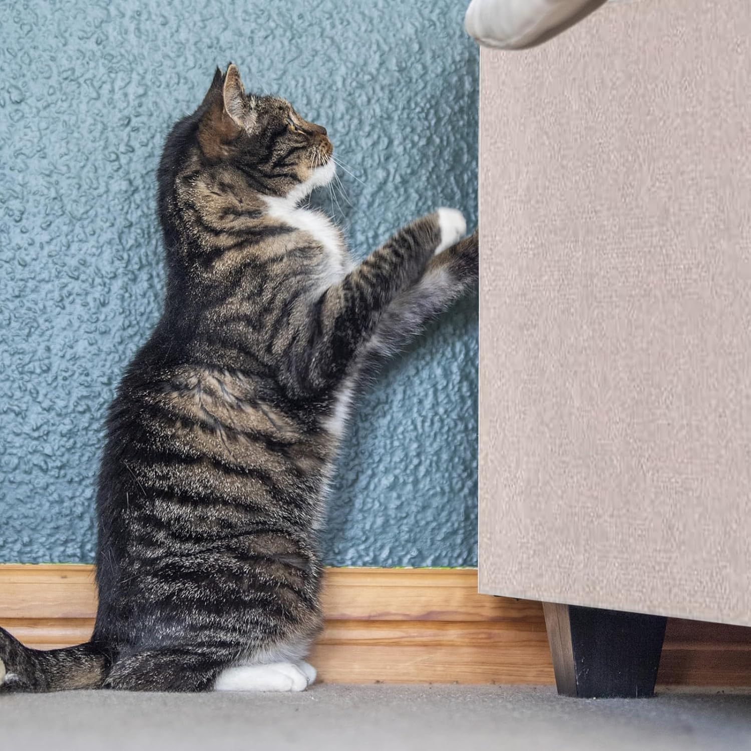 SPORWAY Pack of 2 Cat Scratching Mat, Cat Scratching Boards, 40 Cm X 100 Cm, Cat Scratching Mat, Cat Scratching Board Scratching Mat for Protects Carpets and Sofas image number 6