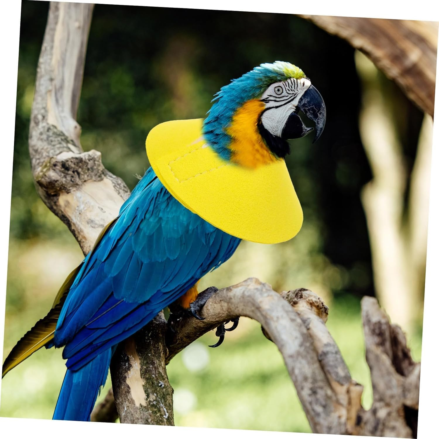 Prevent Plume Plucking Bird Collars, 1Pc Parrot Neck Collar Bird Anti-Bite Collar,Microfiber Leather Bird Neck Protective Cone,Parrot Collars Protective Neck Ring Bird Collar,Yellow - Pink image number 7
