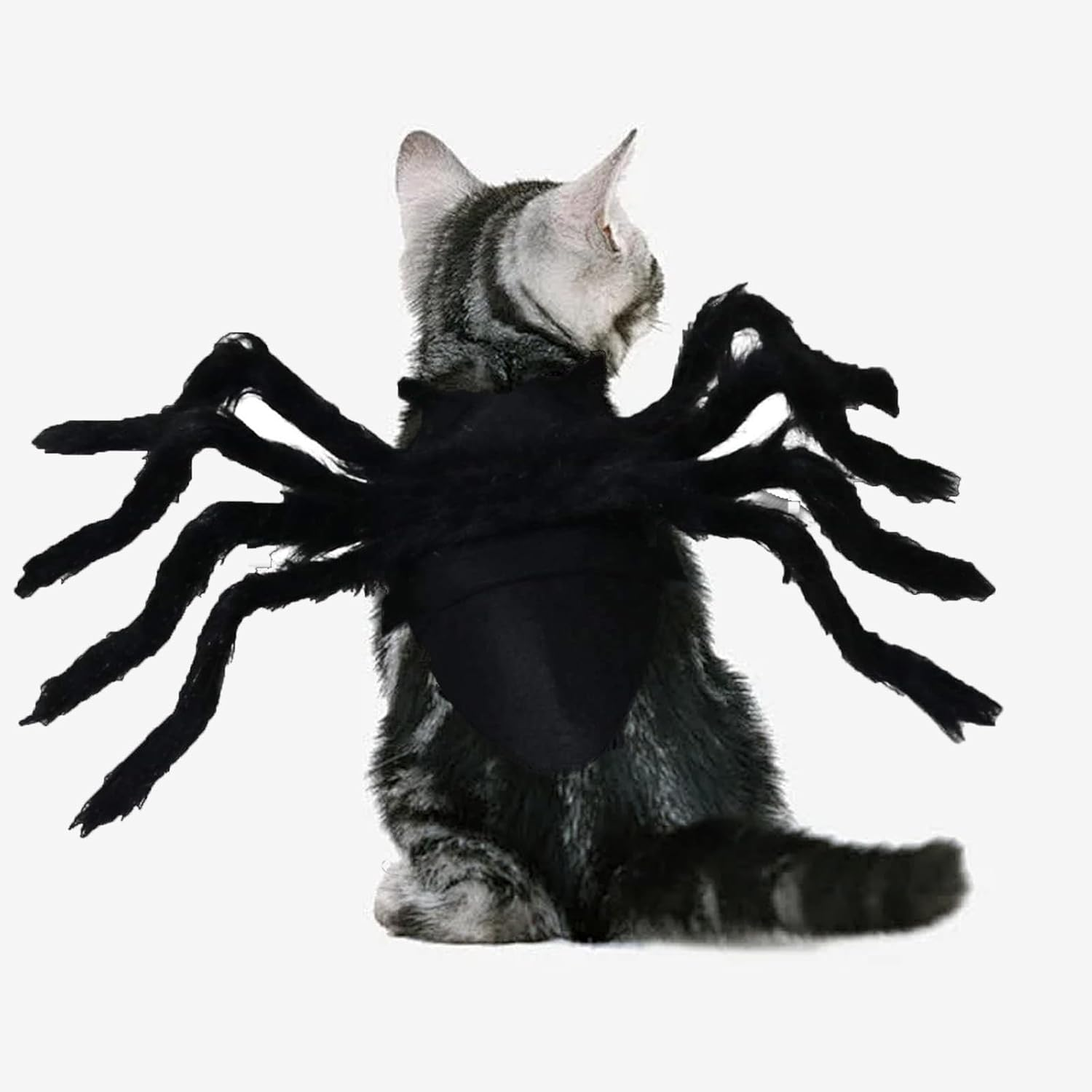 Cat Horror Spider Costume Spider Dog Clothing Decor Halloween Decoration Costume Dog Costume Cat Cat Dog Scary Costume Halloween Pet Costume for Party Christmas Halloween Black (M Size) image number 3