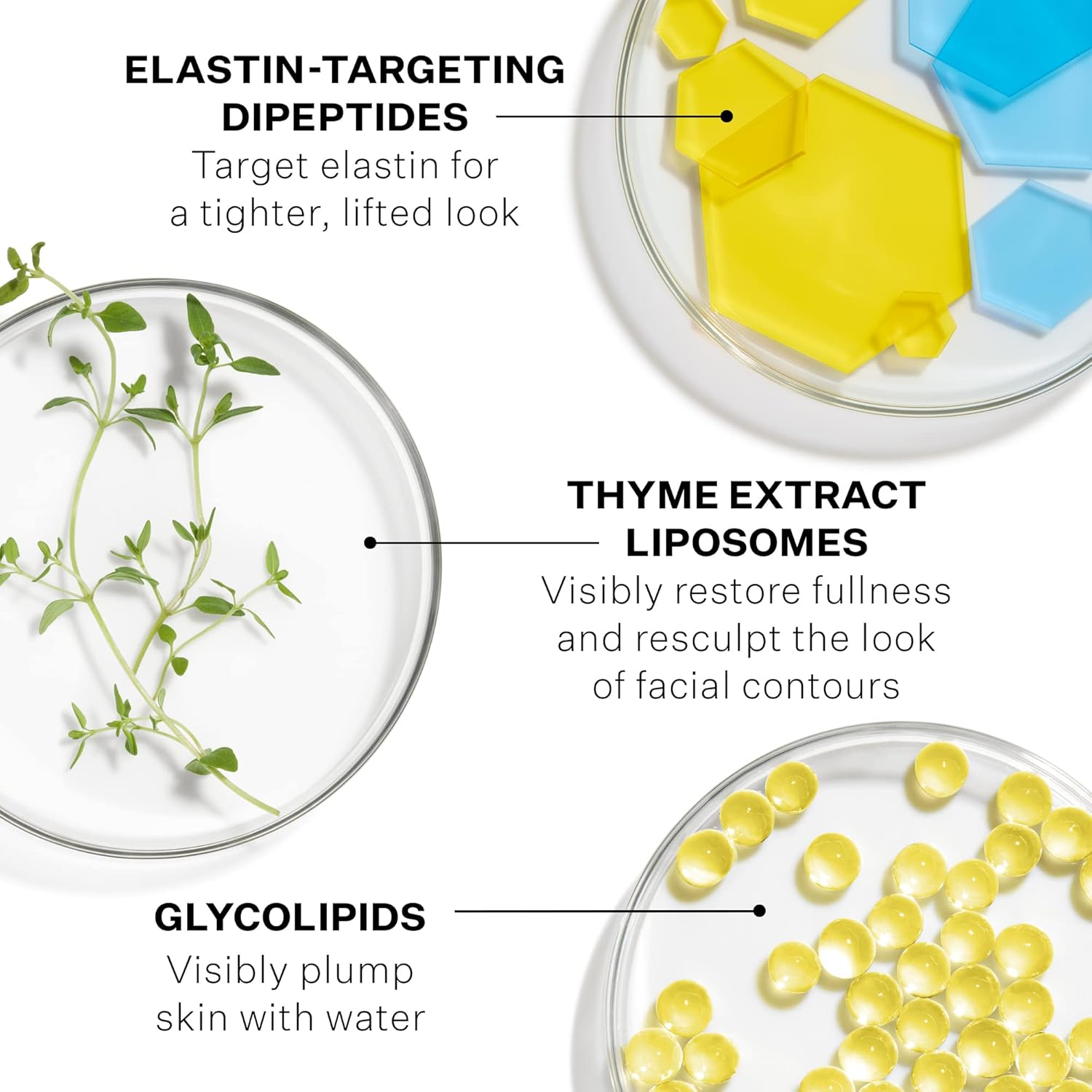 Strivectin Contour Restore Creams for Face and Eyes (1.7 Oz, 50Ml)|Lifts and Improve the Look of Saggy Skin and Fines Lines, Deeply Moisturising & Tightening image number 2