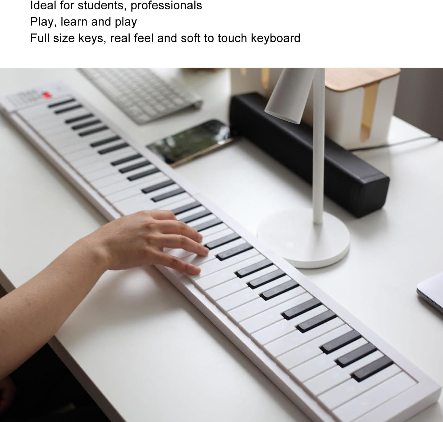 61 Key Foldable Piano, Portable Electric Keyboard with Full Size Keys, Recording, Playback, for Beginners, Students, Professionals