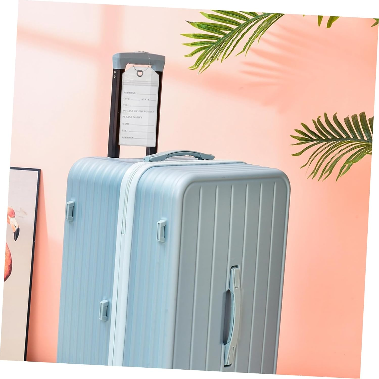 SEWACC 5Pcs Clear Luggage Tags with Steel Rings Reusable PVC Id Card Holders for Cruise Ships Travel Bags Pet Carriers Travel Accessories for Suitcases and Sports Gear image number 6