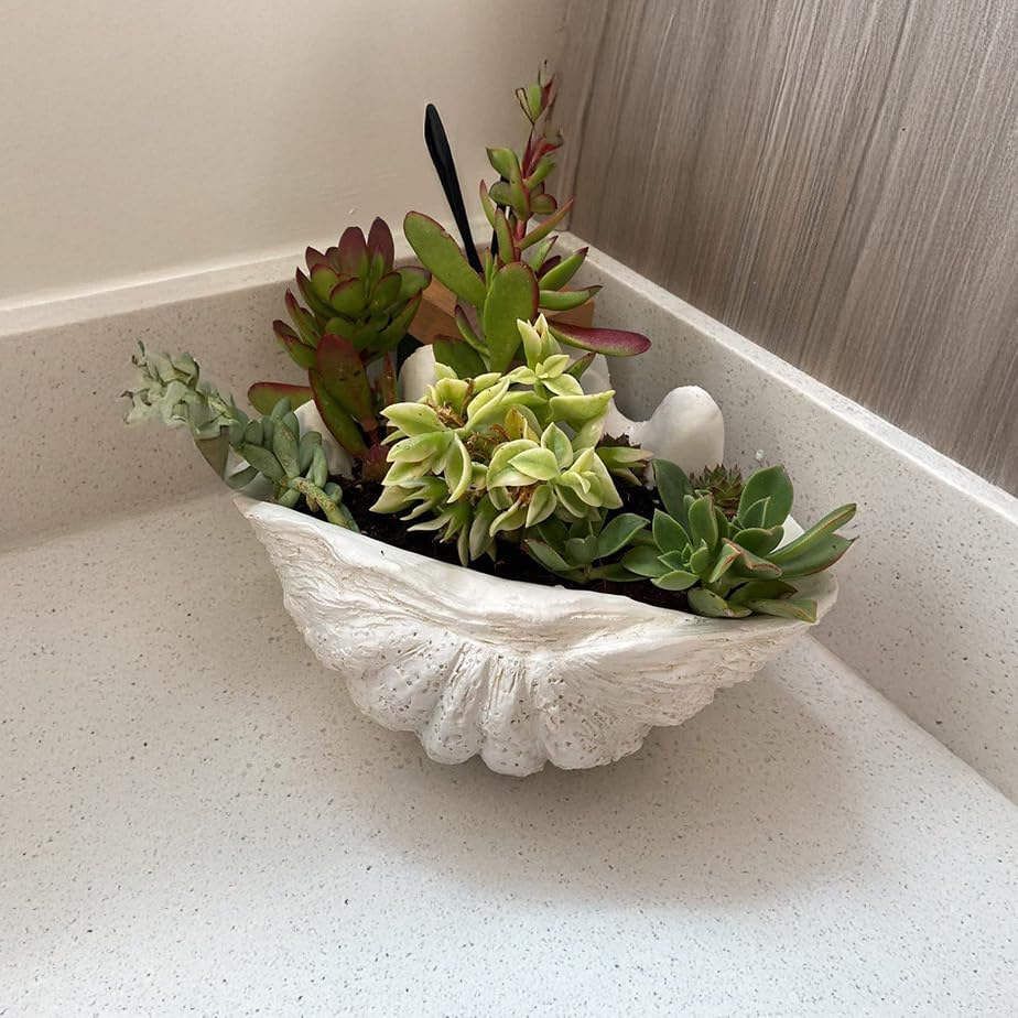 Small Clam Shell Sculpture Replica, 22Cm L X 14Cm W X 11Cm H, Handcrafted White Resin Seashell for Coastal Home D&eacute;cor, or Trinket Dish for Jewelry, or Keys White image number 4