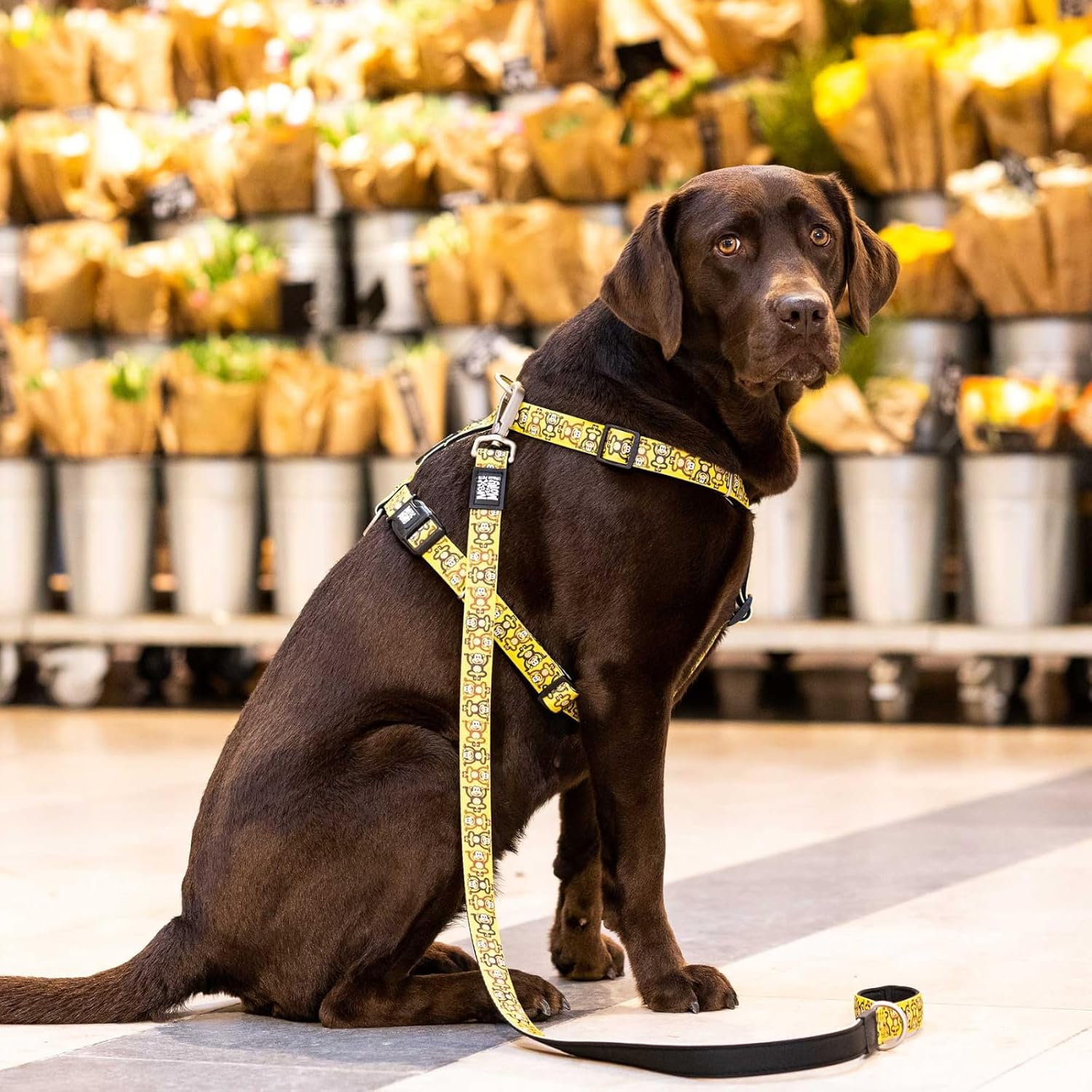 Max and Morley Dog Lead, Monkey, Small image number 2