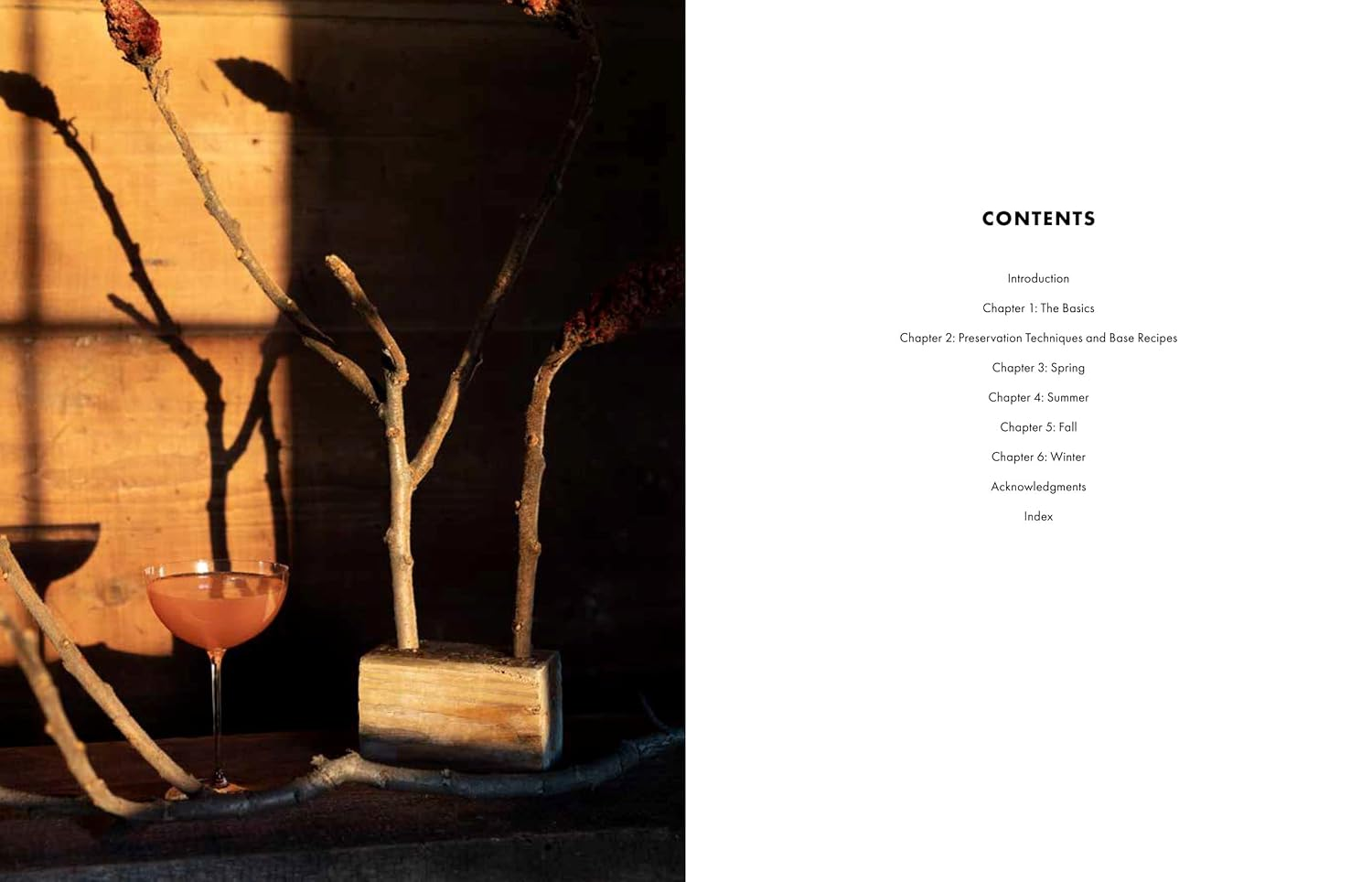 Slow Drinks: a Field Guide to Foraging and Fermenting Seasonal Sodas, Botanical Cocktails, Homemade Wines, and More