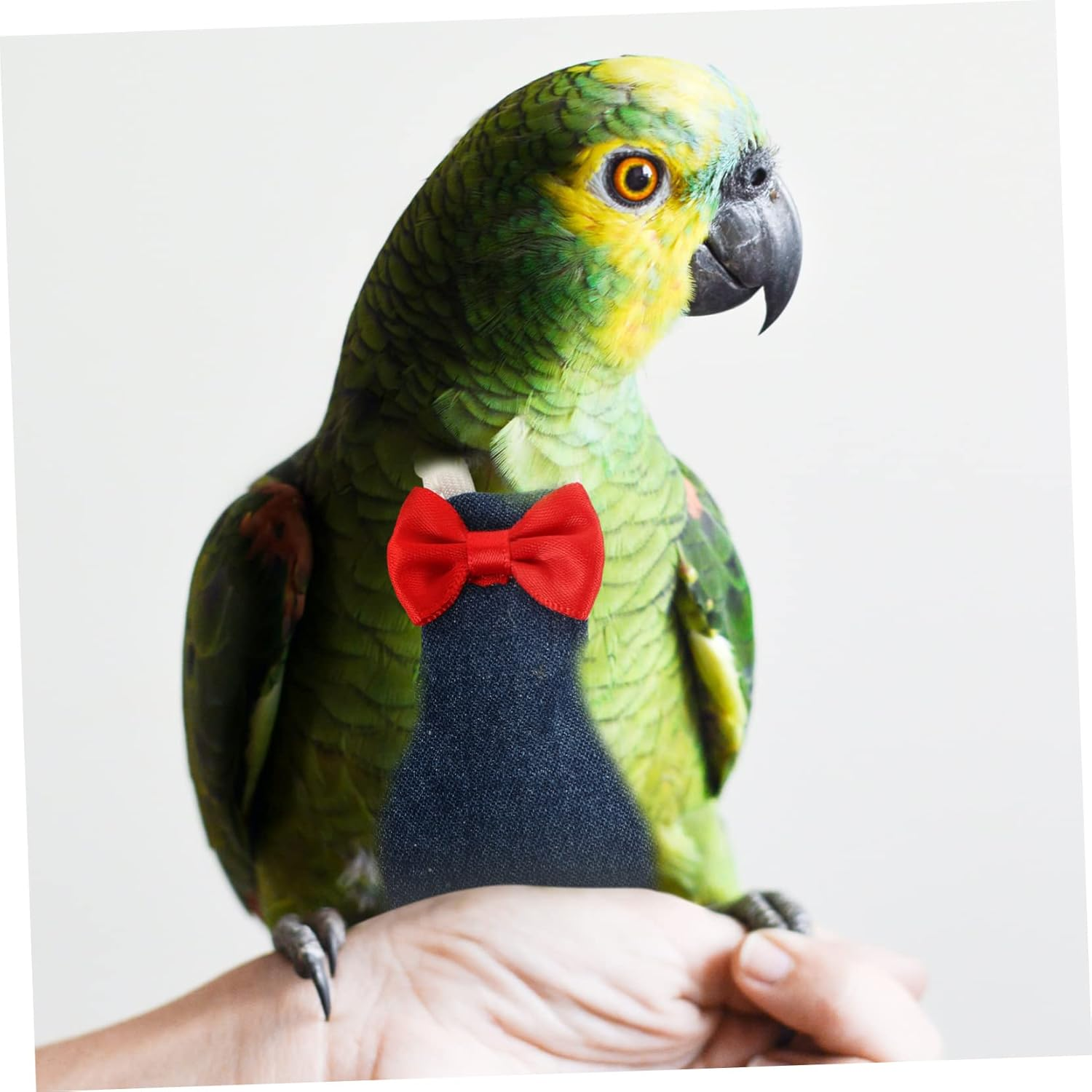 BESPORTBLE 4Pcs Bird Diaper for Parrot and Parakeets Reusable Flight Suit Clothes Protective Liner for Small Birds image number 6