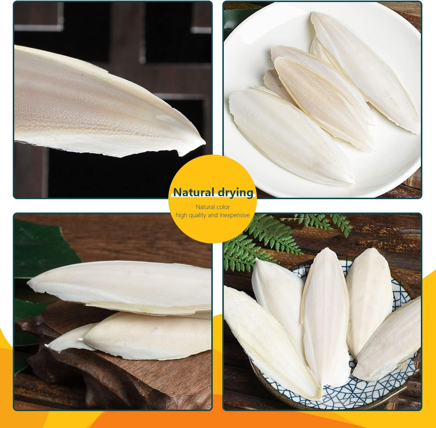 Powerful 10PCS Cuttlebone Cuttlefish Bone Natural Cuttlefish for Birds Tortoise Snails Budgies for Molar & Nutrition Needs image number 5