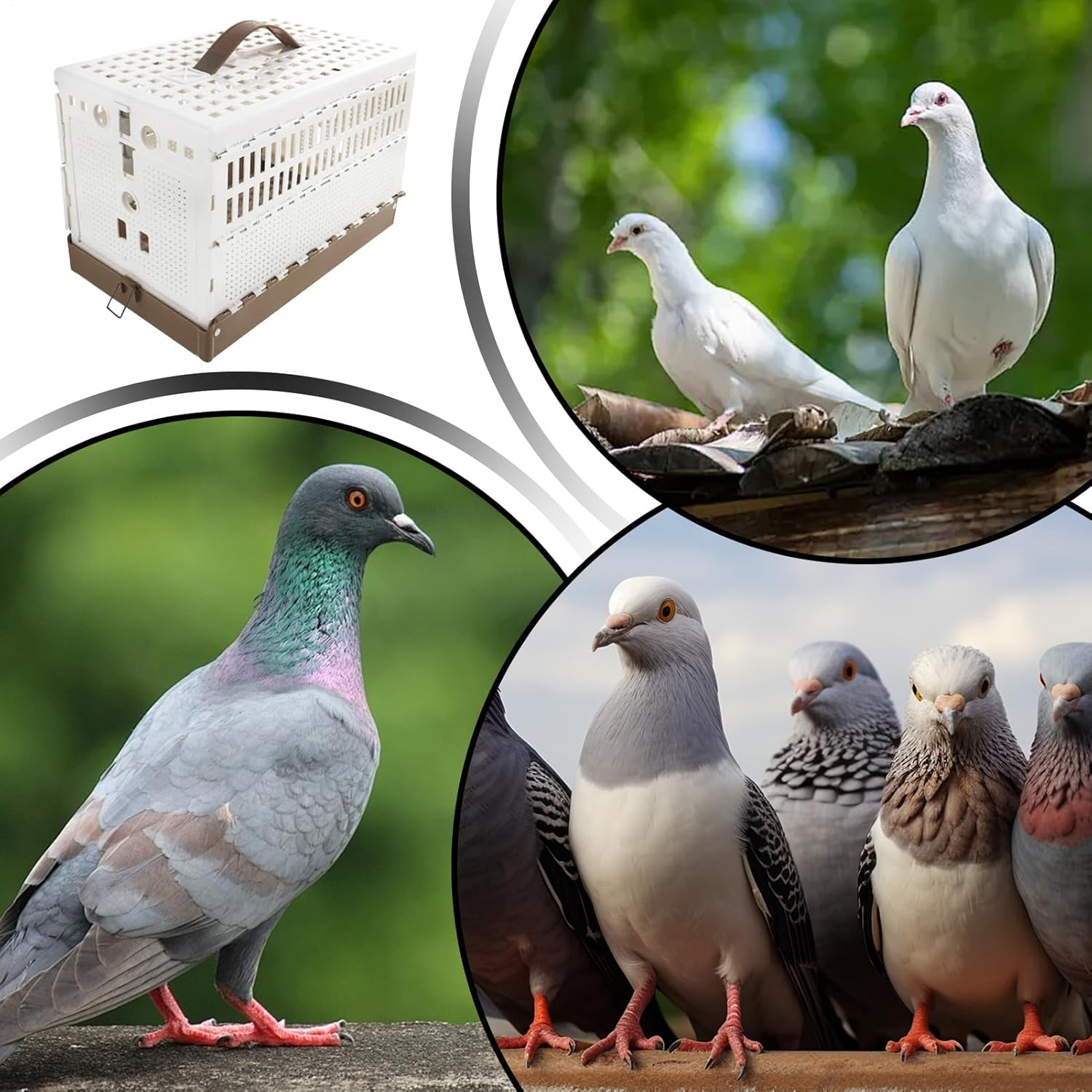 Jvjggag Parrot Cage | Portable Escape-Proof Cage | Bird Domestication Carrier - for Outdoor Yard Travel Transport Training Domestication Competition