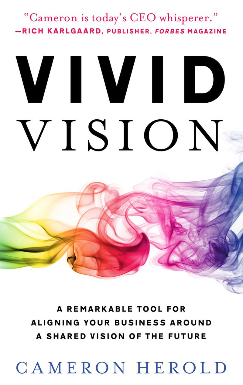 Vivid Vision: a Remarkable Tool for Aligning Your Business around a Shared Vision of the Future image number 2