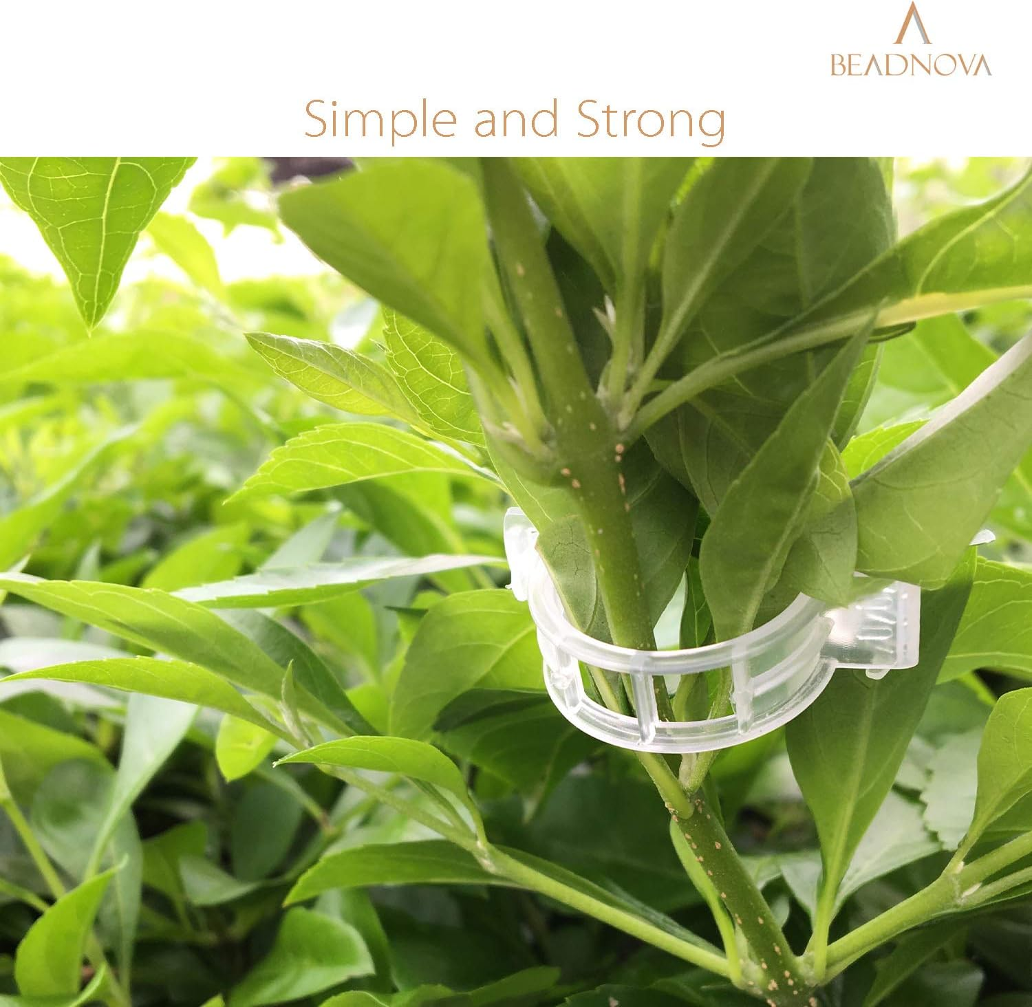 BEADNOVA 150Pcs Tomato Clips Plant Clips Garden Clips Vine Clips Tomato Trellis Clips for Tomato Vine Vegetable (150PCS) image number 5