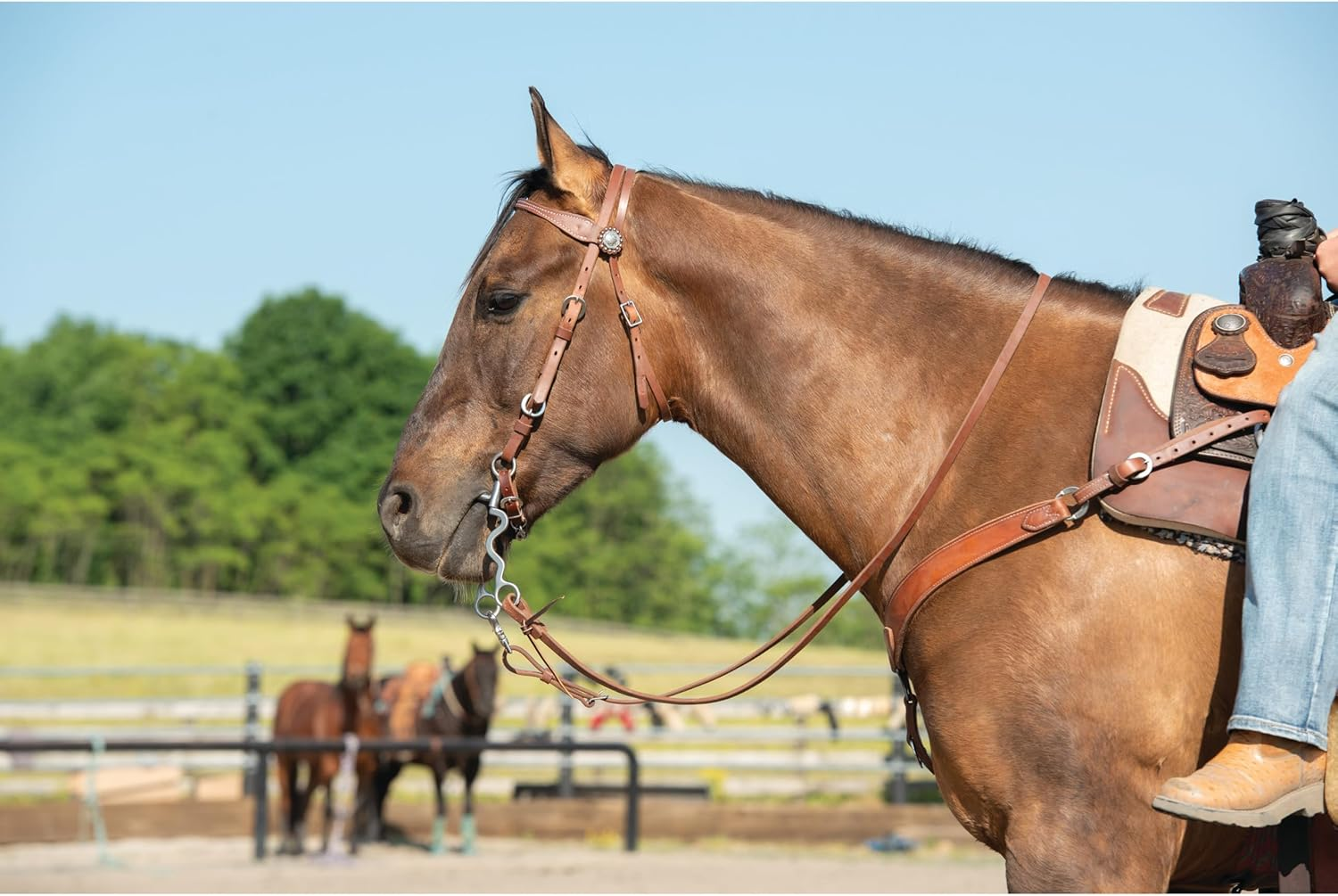 Weaver Leather Stacy Westfall Protack Oiled Browband Headstall, Brown image number 3