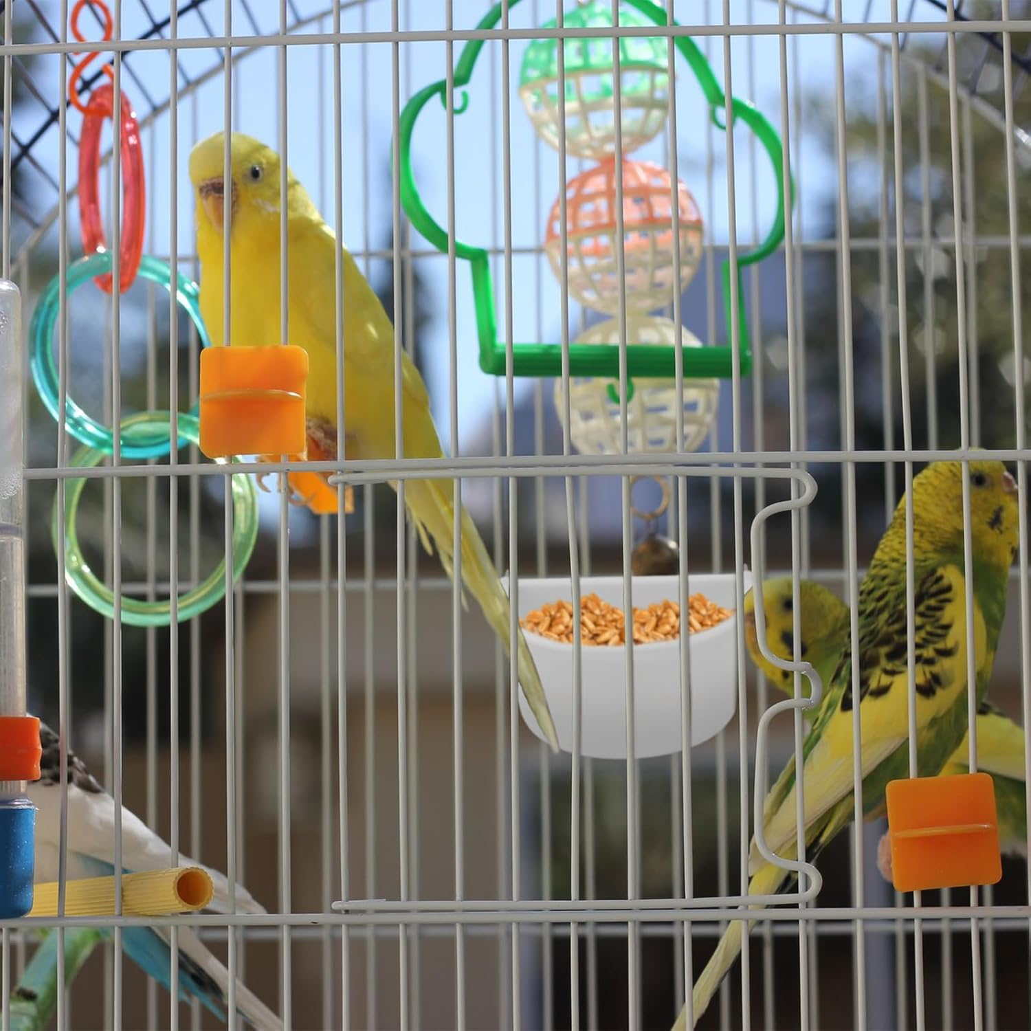 4 Pcs D Shape Plastic Bird Feeder Bowl with Hook Hanging for Parrot Parakeet Cockatiel Budgie Cage Accessories image number 5