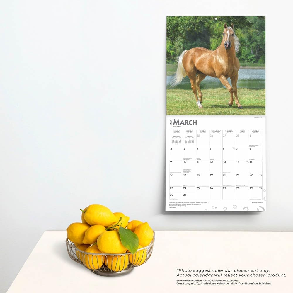 Horse Lovers | 2025 12 X 24 Inch Monthly Square Wall Calendar | Plastic-Free | Browntrout | Animals Equestrian image number 6