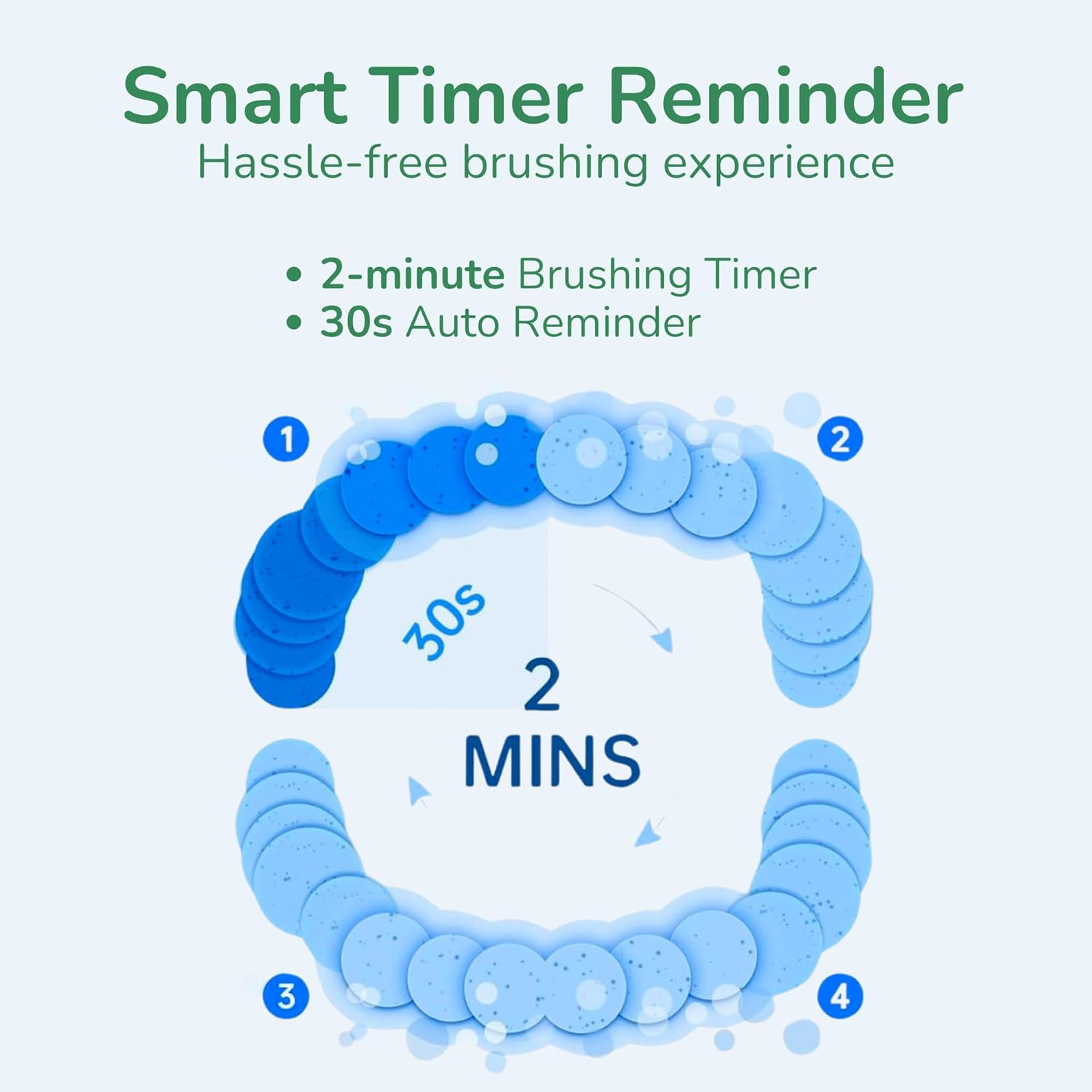 Barberboss Electric Toothbrush for Adults - Oscillation & Vibration Sound Technology, Includes 6 Brush Heads, Smart Timer, Portable Design with Carry Case, Model QR-7537 (Mint)