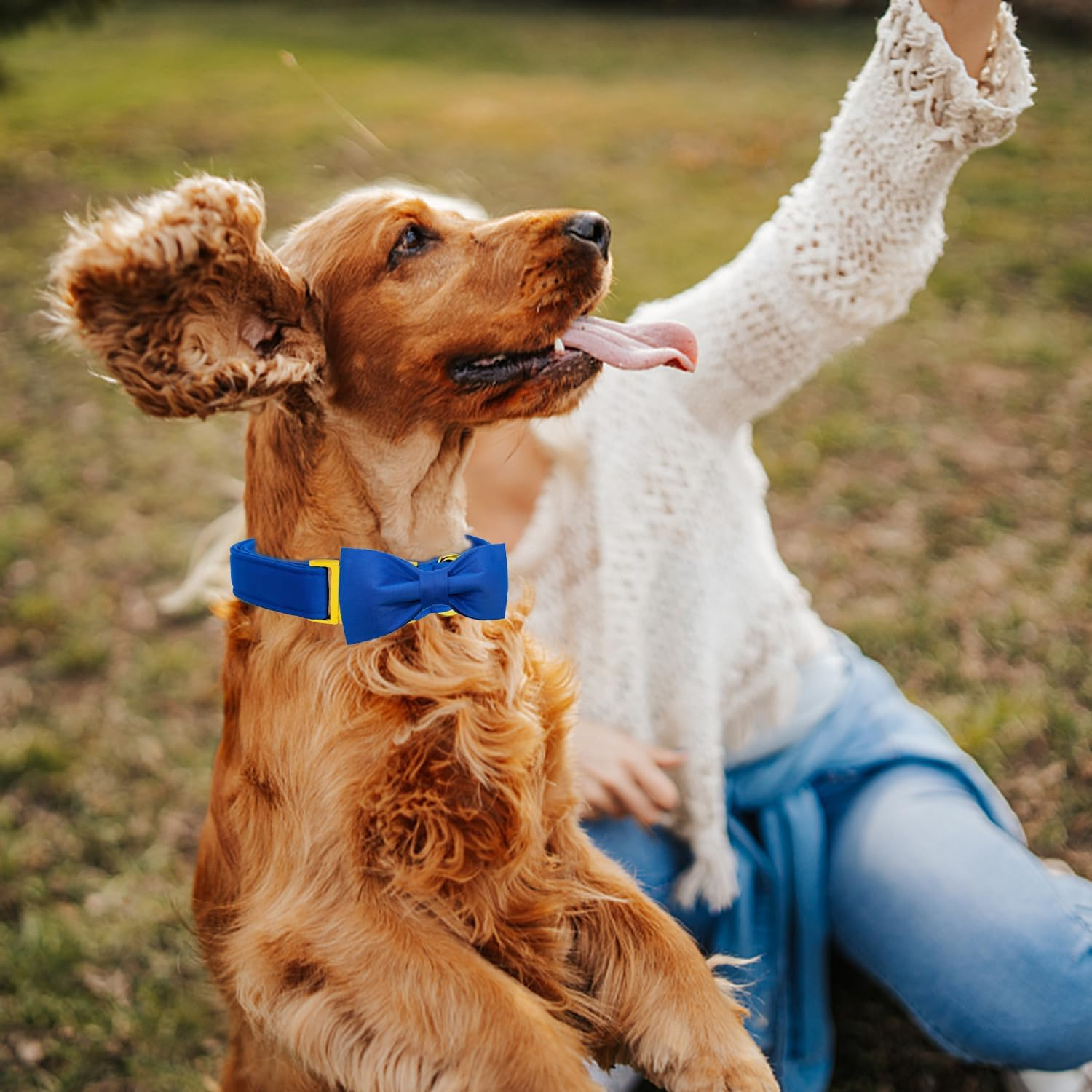 Maca Bates Blue Dog Collar with Bow Bowtie for Dogs Solid Colors Bow Tie Thick Adjustable Breakaway Puppy Collars Birthday Gift for Small Medium Large Boy GILR Male Female Puppies Pets