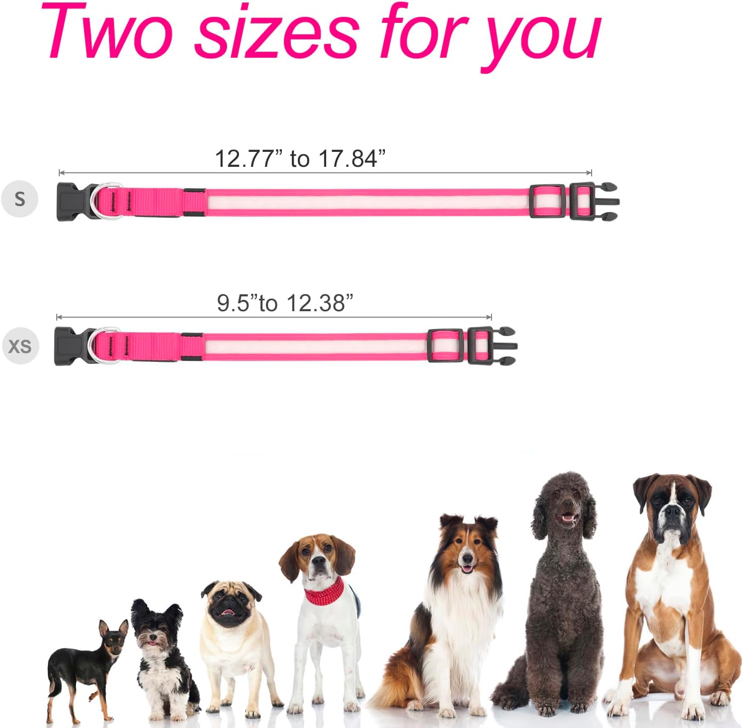 LED Dog Collar,Light up Dog Collars Rechargeable Lighted Dog Collar Glowing Dog Night Walking Collar 3 Colors for Choice(With Airtag Holder) image number 4