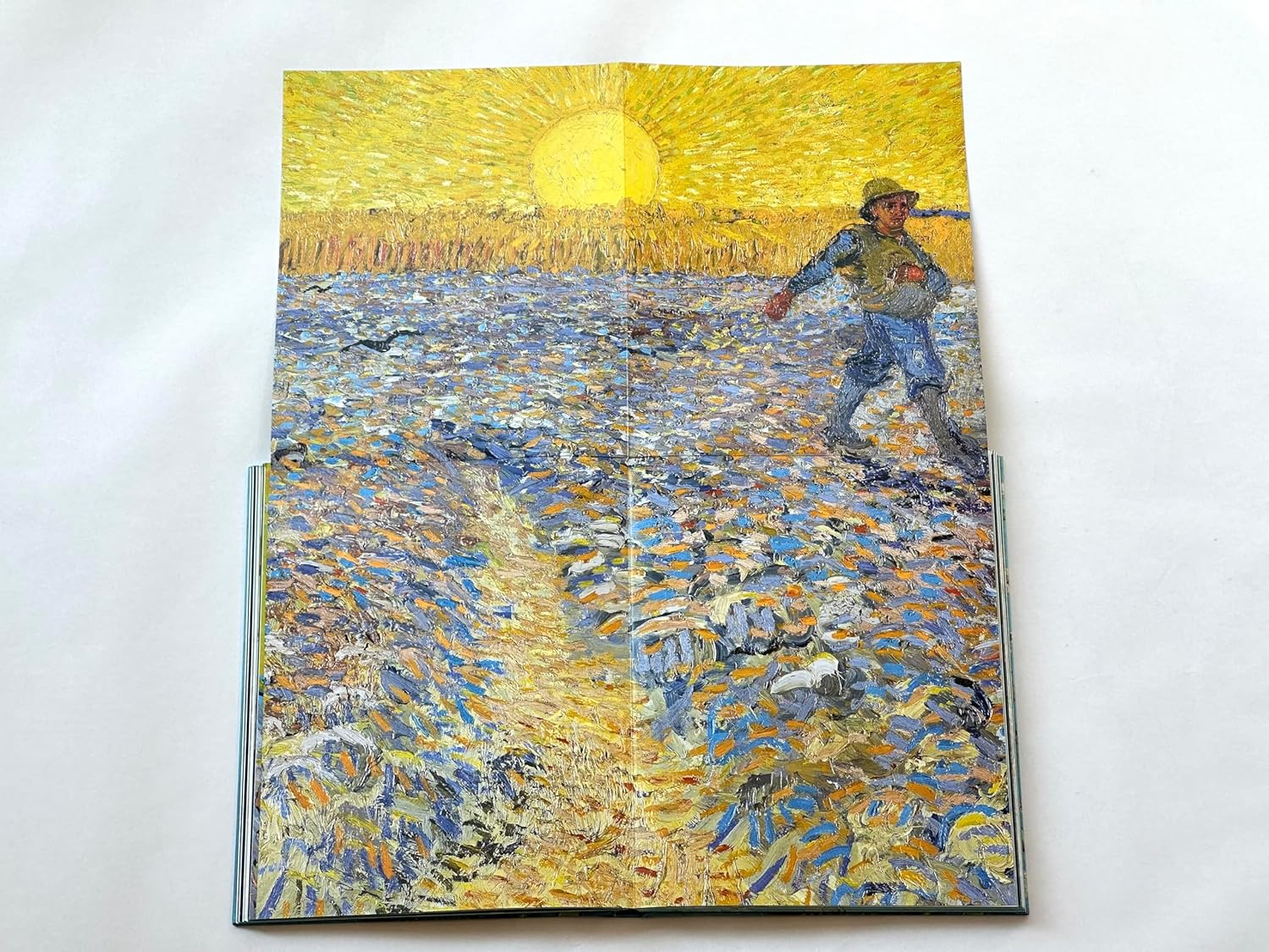 Van Gogh: the Bigger Picture image number 3