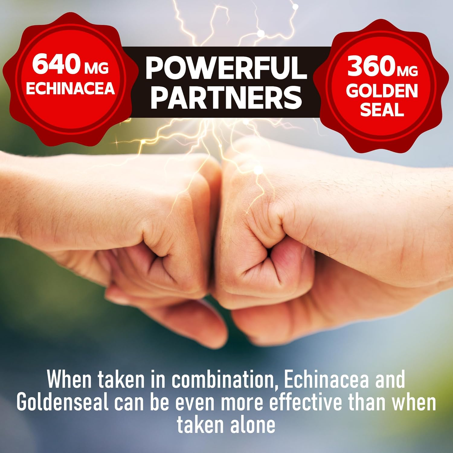 DEDICAD 1000Mg Echinacea Capsules with Goldenseal - 240 Counts of 4 Month Supply - Support Immune System, Well-Being & Overal Health image number 1