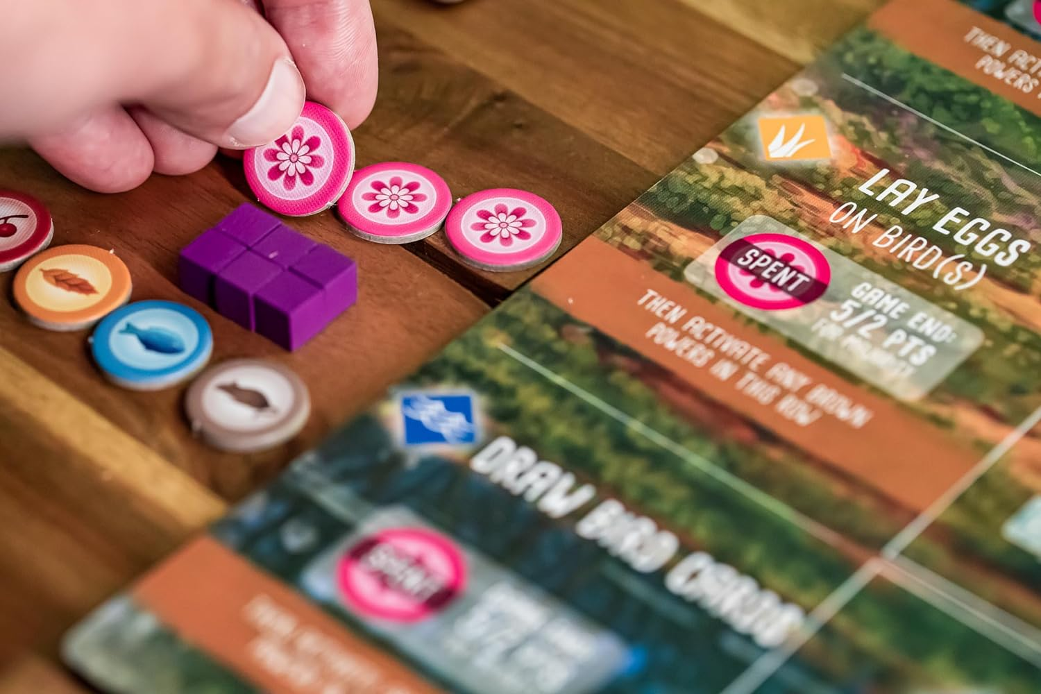 Stonemaier Games Wingspan Oceania Expansion Orange image number 2