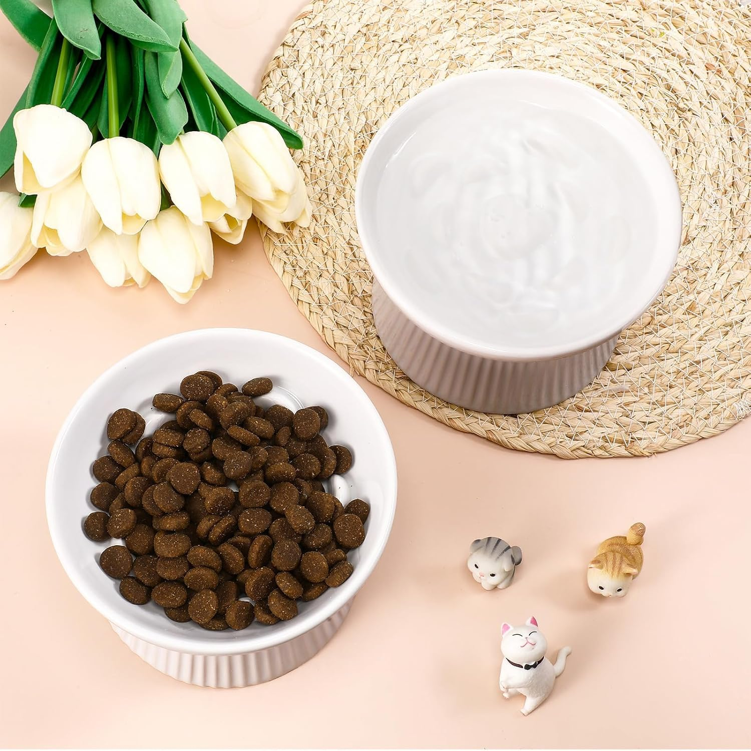 Elevated Ceramic Slow Feeder Cat Bowl &ndash; Anti-Vomiting Raised Cat Food Dish for Dry and Wet Food, Ideal for Dogs and Cats image number 2