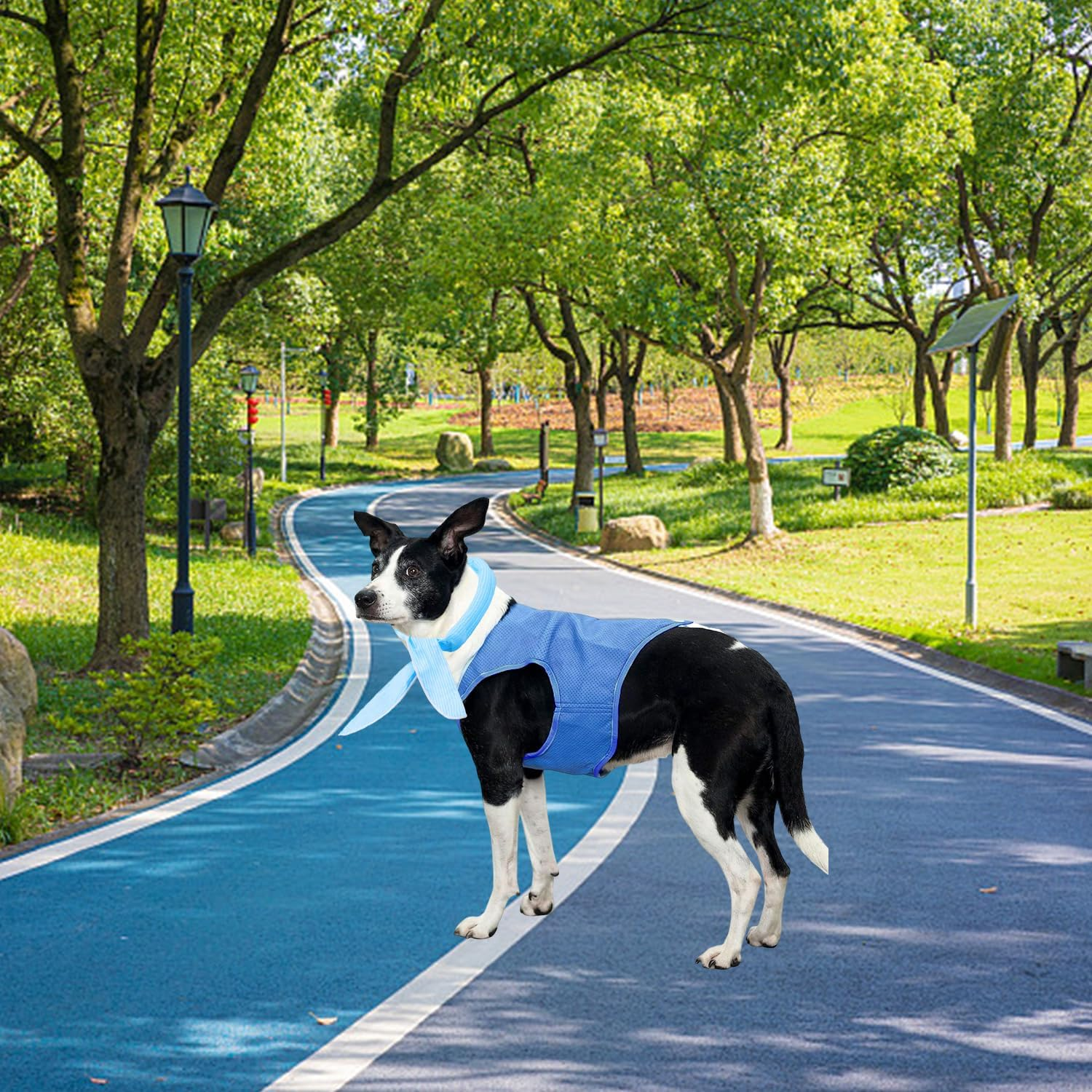 AIRTILY 1 X Cooling Clothes, 1 X Cooling Bib, Breathable Pet Vest, Summer Heat Reducing Vest, Cat Cool Scarf, Pet Supplies image number 3