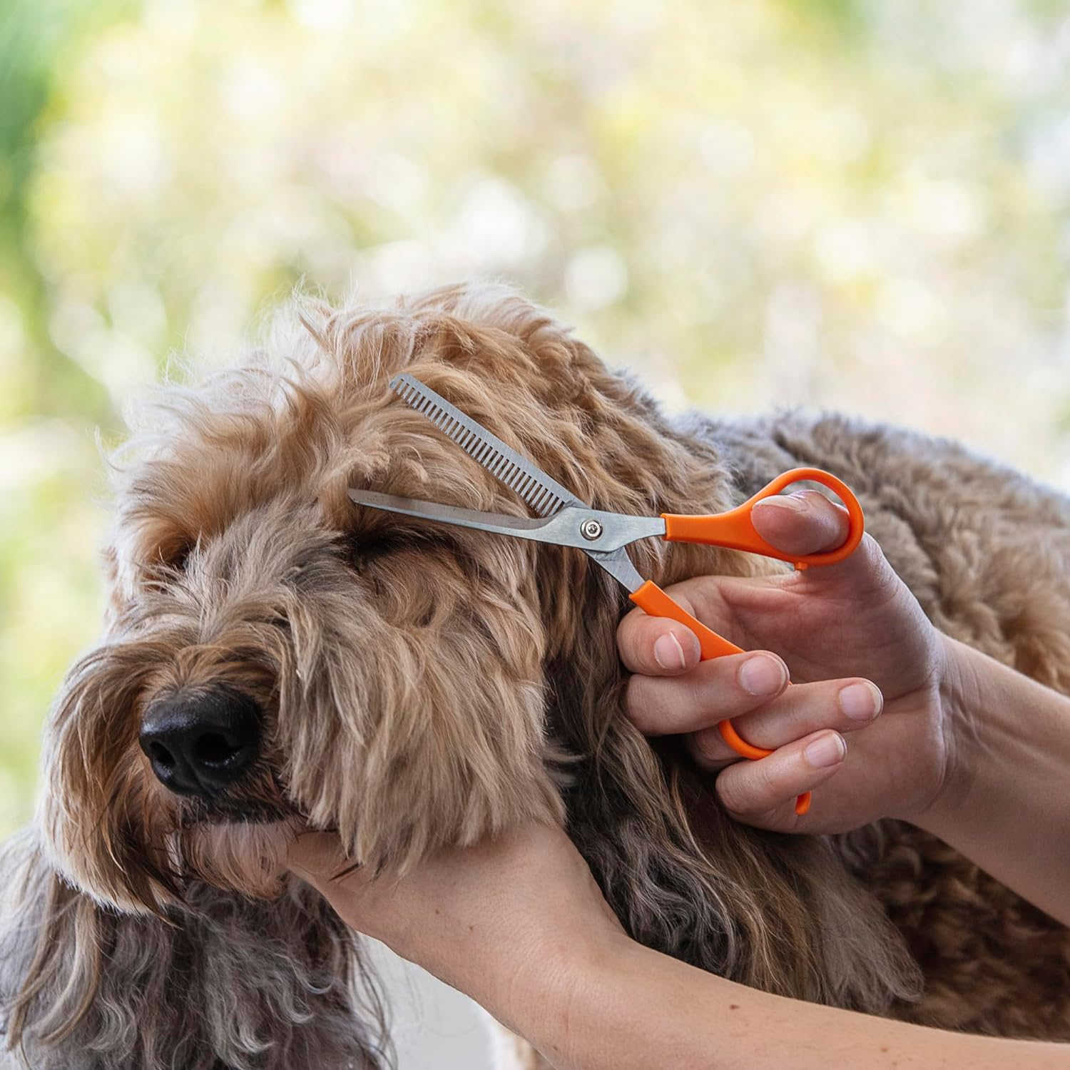 Wahl Thinning Scissors for Dogs, Orange/Silver image number 2
