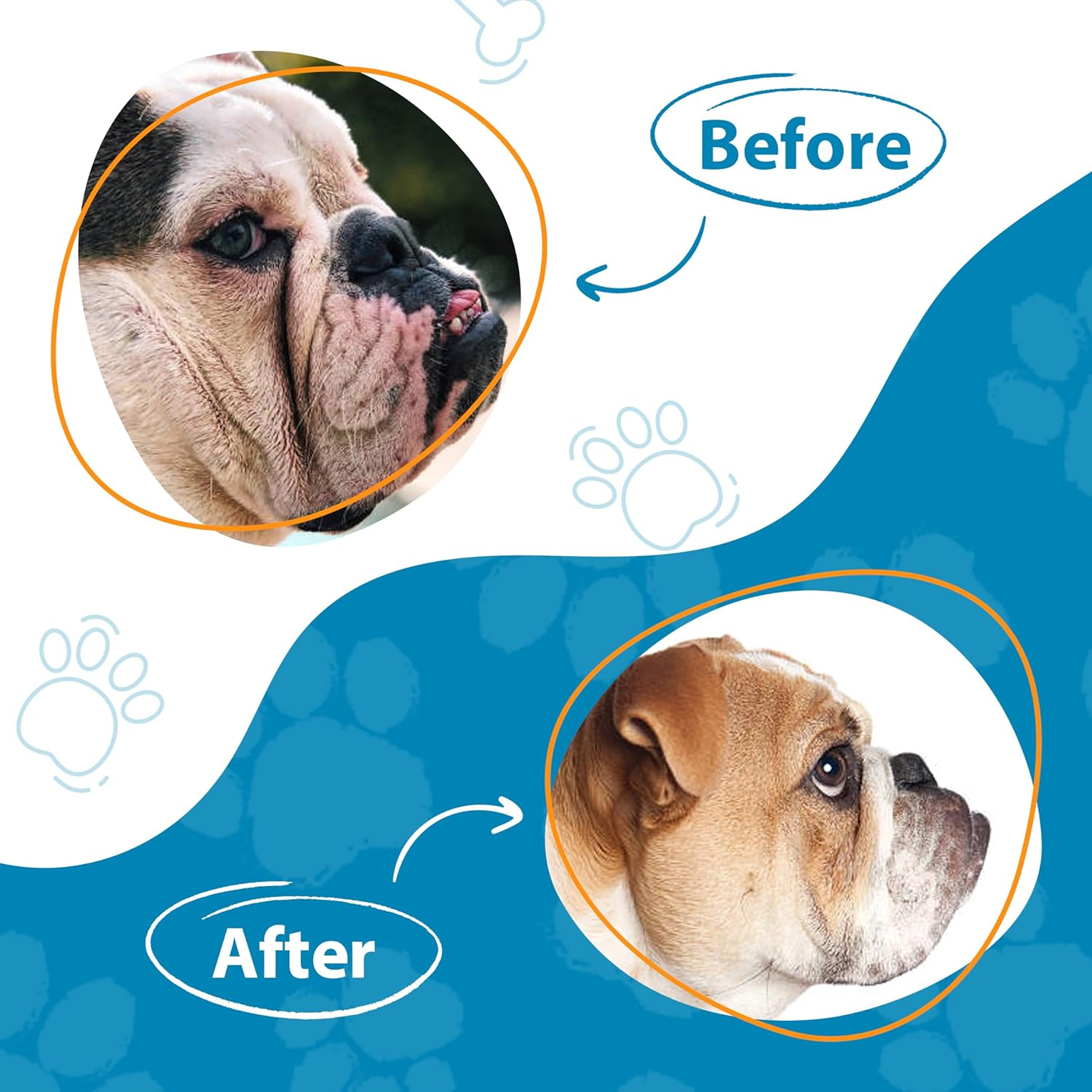 Bulldog Wrinkle Wipes for Dogs 100 Count - Clean and Sooth on Wrinkles, Folds - Dog Wrinkle Wipes French Bulldog, English Bulldog, Pugs, Frenchie - 3.15 in Large Dog Face Wipes - Unscented image number 5