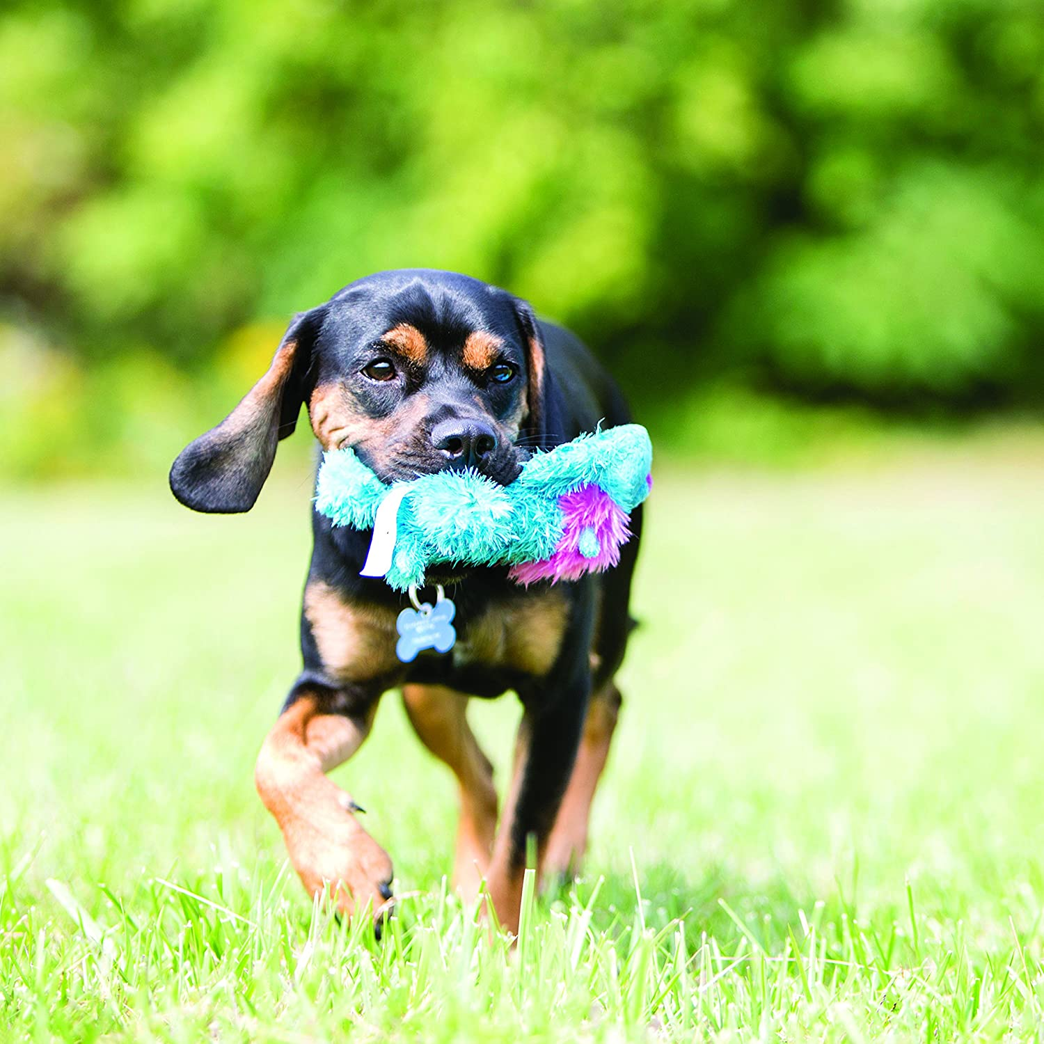 KONG - Cozie King Lion - Indoor Cuddle Squeaky Plush Dog Toy - for Medium Dogs image number 5