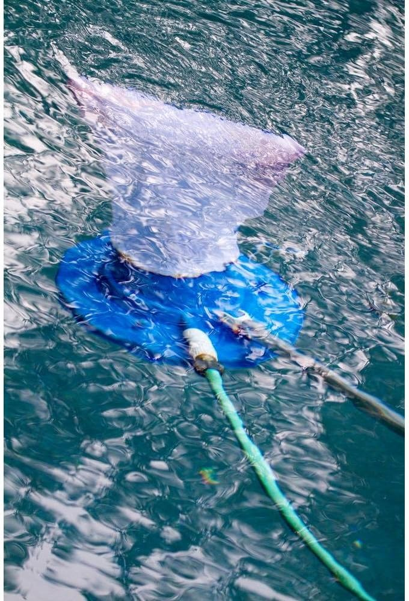 Aquatix Pro Premium Fine Mesh Bag with Pull & Lock Cord for Pool Leaf Vacuum, Leaf Eater, Leaf Catcher, Leaf Gulper, Leaf Bagger, Leaf Master, Universal Fit, 1 Year Warranty! (2) image number 4