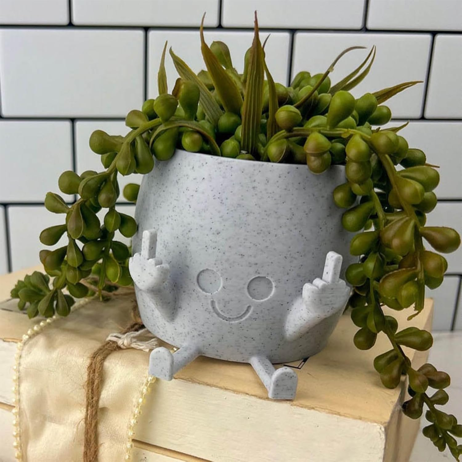 Smiling Plant Pot with Middle Fingers Up, Unique Cute Flower Pots for Succulents Middle Finger, Funny Expression Indoor Plant Pot for Plant Lover image number 3