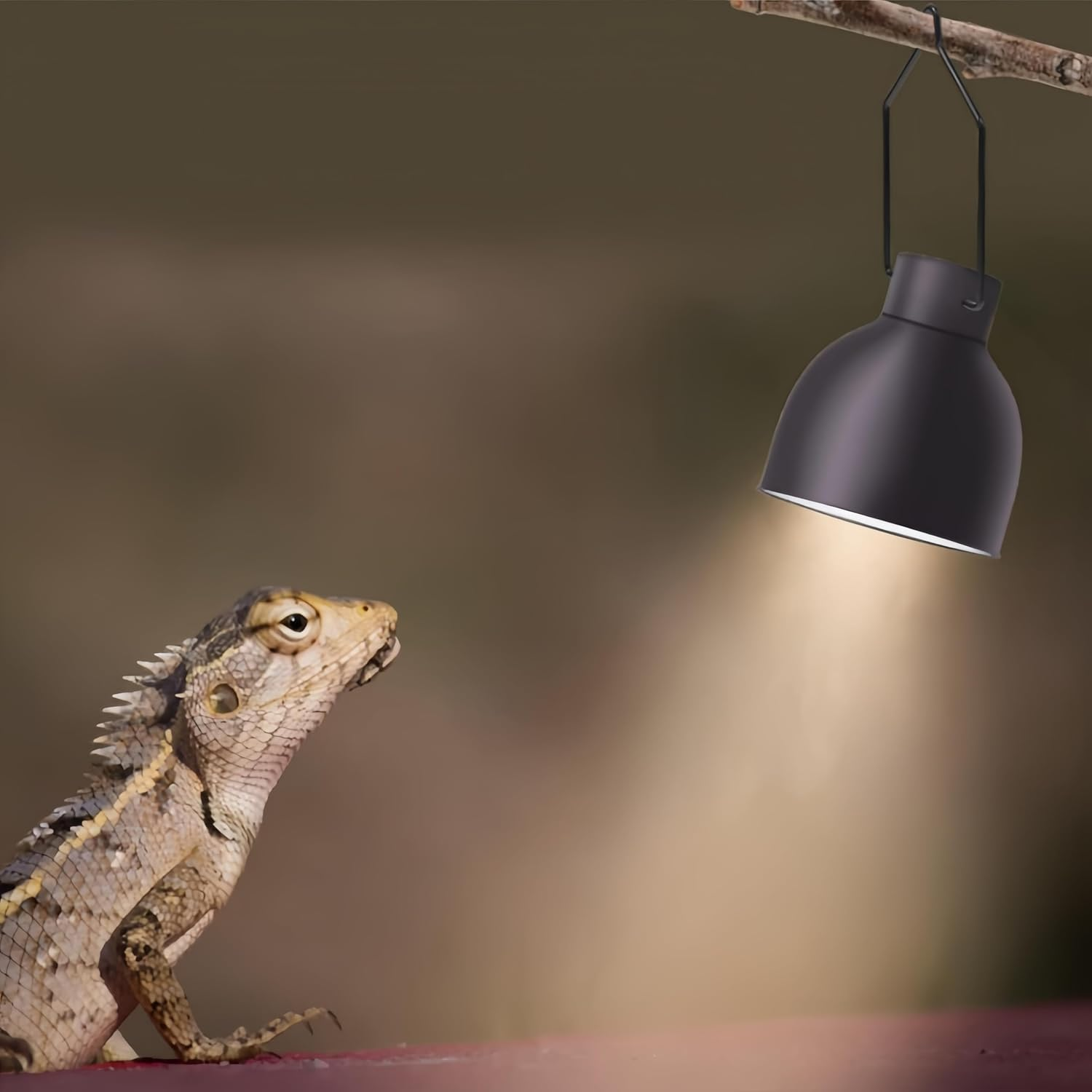 4 Pcs Lampshade Lamp Clip Turtle Tank Reptile Light Clamp Reptisoil Reptile Lamp Clip Reptile Light Hanger Bulb Hooks Reptile Heat Light Holder Hanger Hooks image number 2