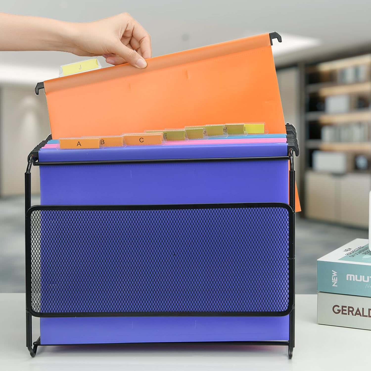 Merrynine Set of Suspension Files and Frame, 15PCS A4 Suspension Files with Tabs and Card, Black Metal Mesh A4 Suspension File Frame Desktop Hanging File Folder Organiser, 5 Color image number 2