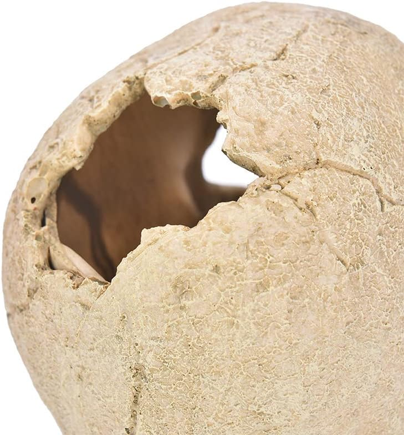 AIMALL Artificial Fake Skull Head Bone Aquarium Ornament Fish Tank Decoration, Safe for All Aquatic Environments, Realistic Design for Reptile Terrariums image number 1