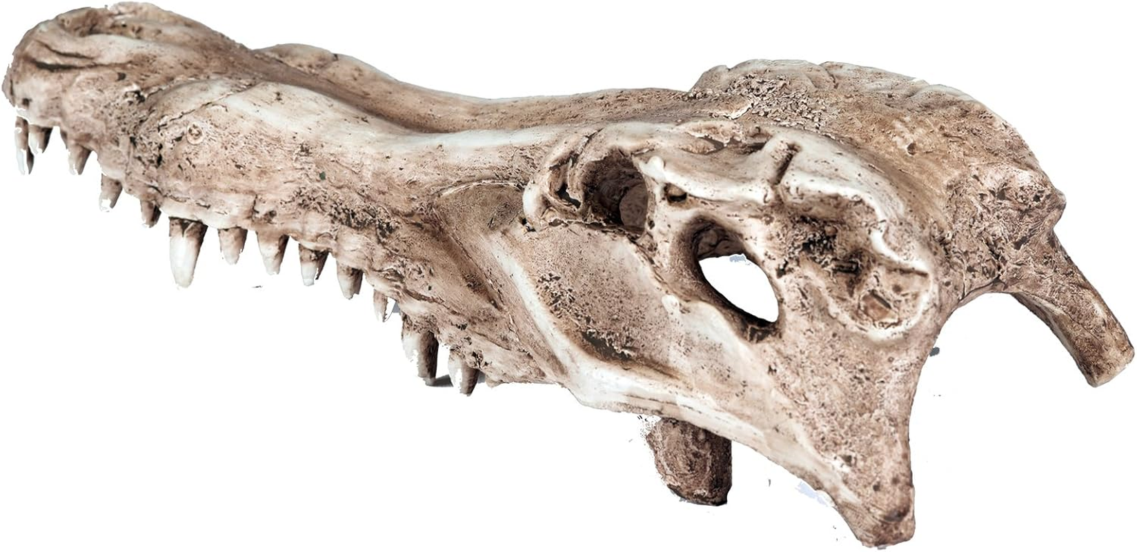 Pet Ting Alligator Skull Aquatic Ornament - Aquarium Decoration - Vivarium Decoration image number 3