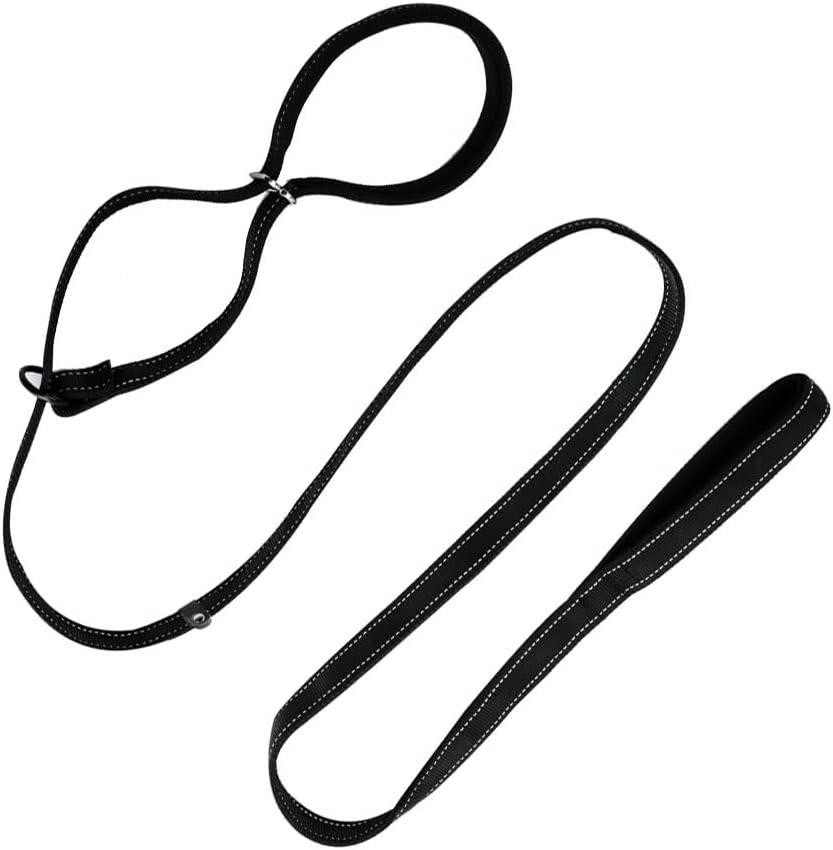 Sarini Dog Lead in the Shape of 8, Adjustable, 1.8 M, with Soft Grip and Padding, Anti-Pull Dog Lead, Suitable for Training Small, Medium and Large Dogs, Bissimitation Dog Lead