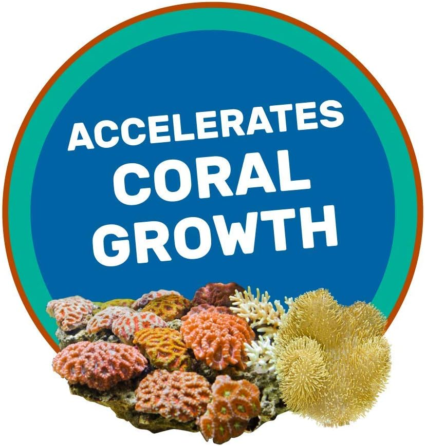 Hikari Coralific Delite 35G Aquarium Health Premium Coral Food Made in Japan image number 4