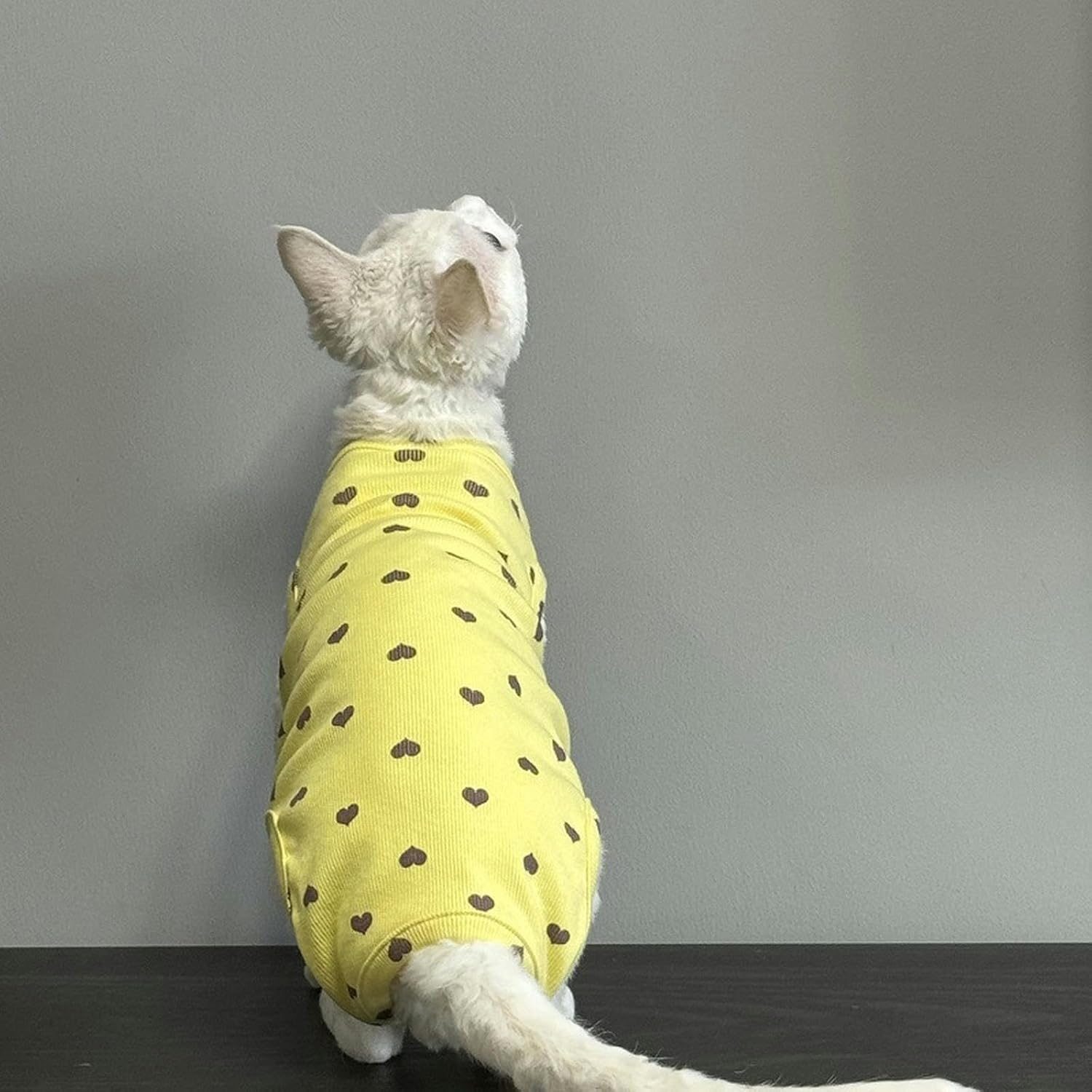 IUOUTG Sphynx Cat Clothes Hairless Cat Shirt Breathable Cotton Pet Clothes round Collar Kitten Pullover Vest Sleeveless Four Leg Cat Pajamas with Cute Heart Pattern for Cornish Rex Devon Rex image number 2
