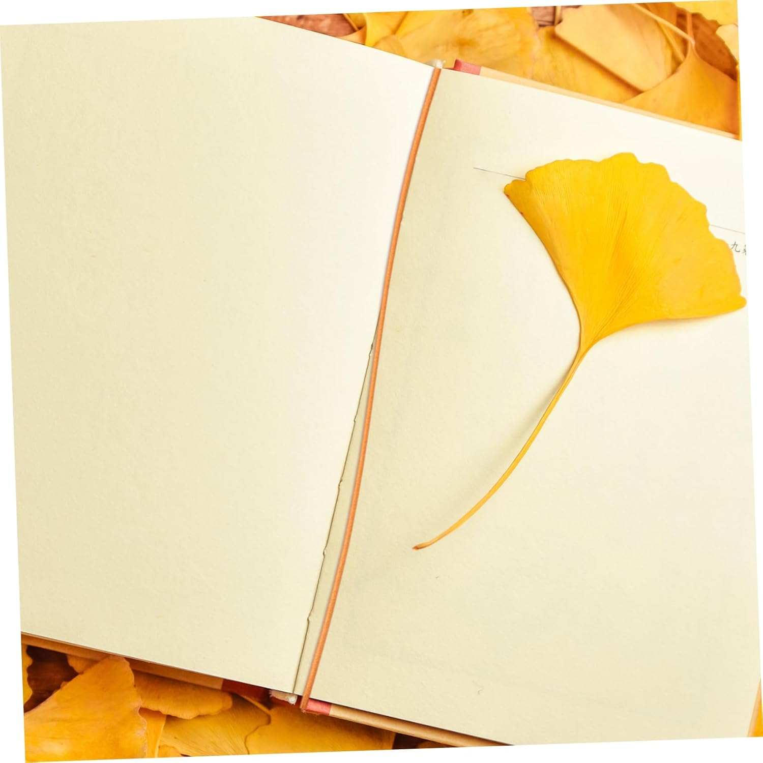 NUOBESTY 5Pcs Journal Elastic Band for Travel Notebook Elastic Strap for Scrapbook Journal Elastic Band Accessory image number 2