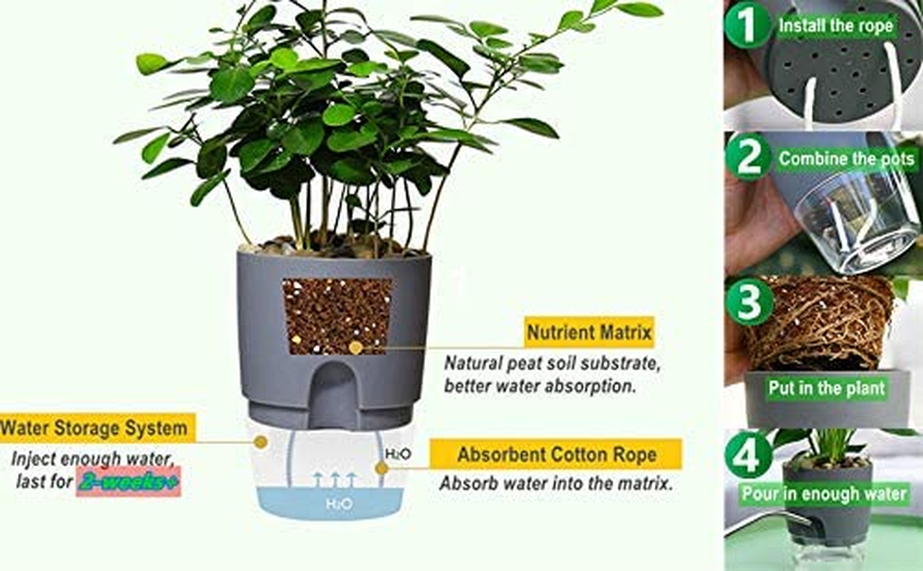 Self Watering Planter for Indoor Plants, 2 Pack &Oslash;23.5Cm Flower Pot Modern Decorative Plastic Planter with Extra Large Water Storage for All House Plants, Flowers, Herbs image number 2