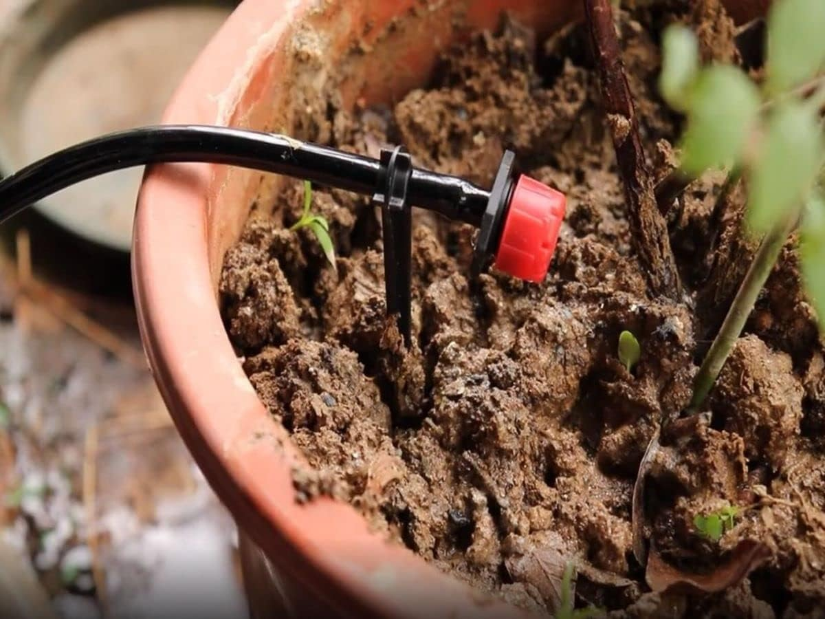 Balter-D 200 Pack 1/4 Inch Drip Support Stakes, Black, Flat Top, Polypropylene (PP) Material image number 6