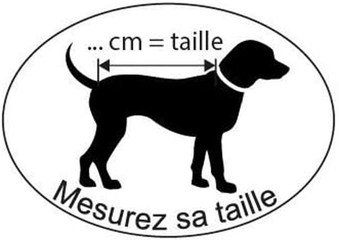 Wouapy 727330 Coat for Dogs Bomber Stone, Size 30, Black