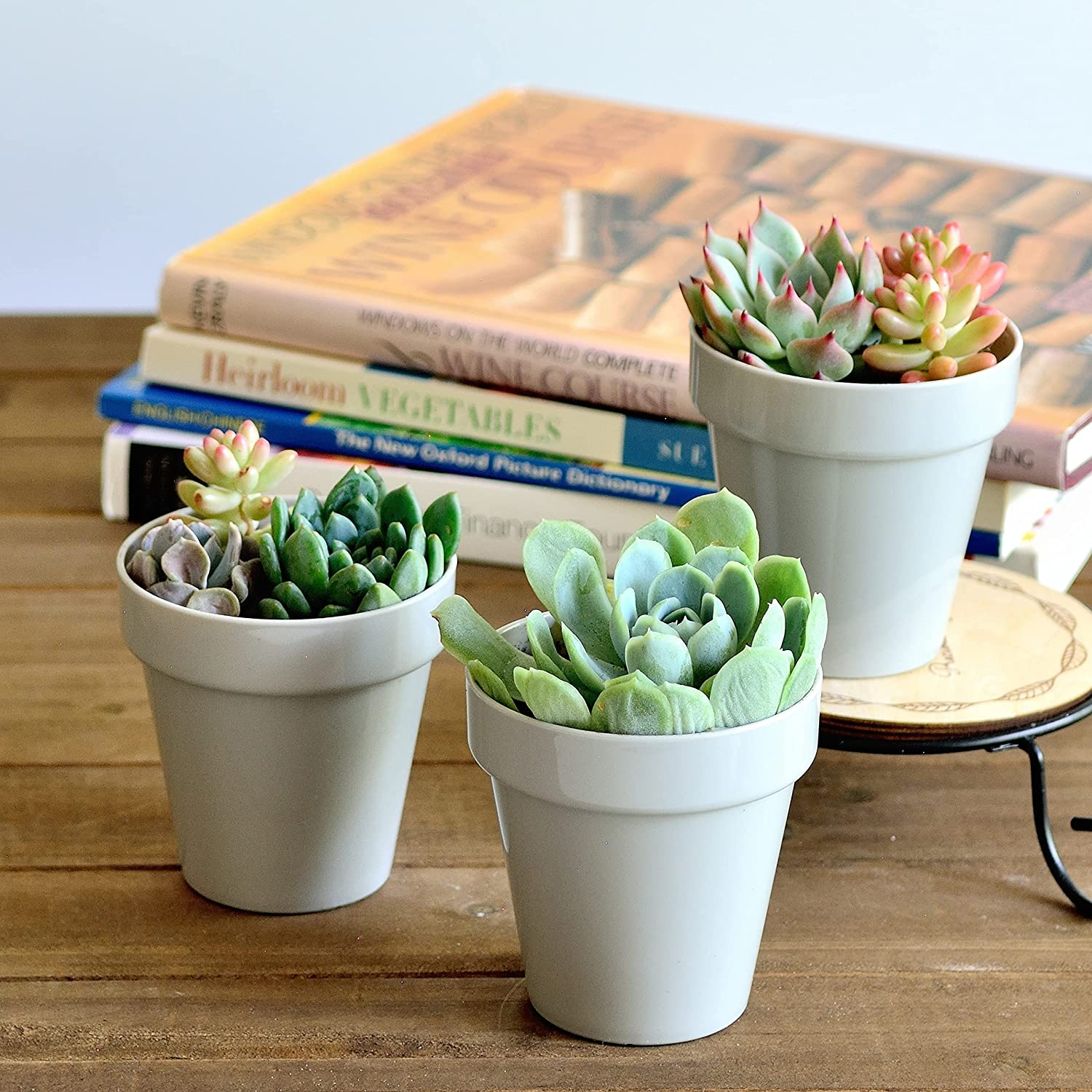 Youngever 24 Pack 5CM Mini Plastic Planters, Indoor Flower Plant Pots, Grey Gardening Pot with Drainage - NO Plant Included (Classic) image number 3