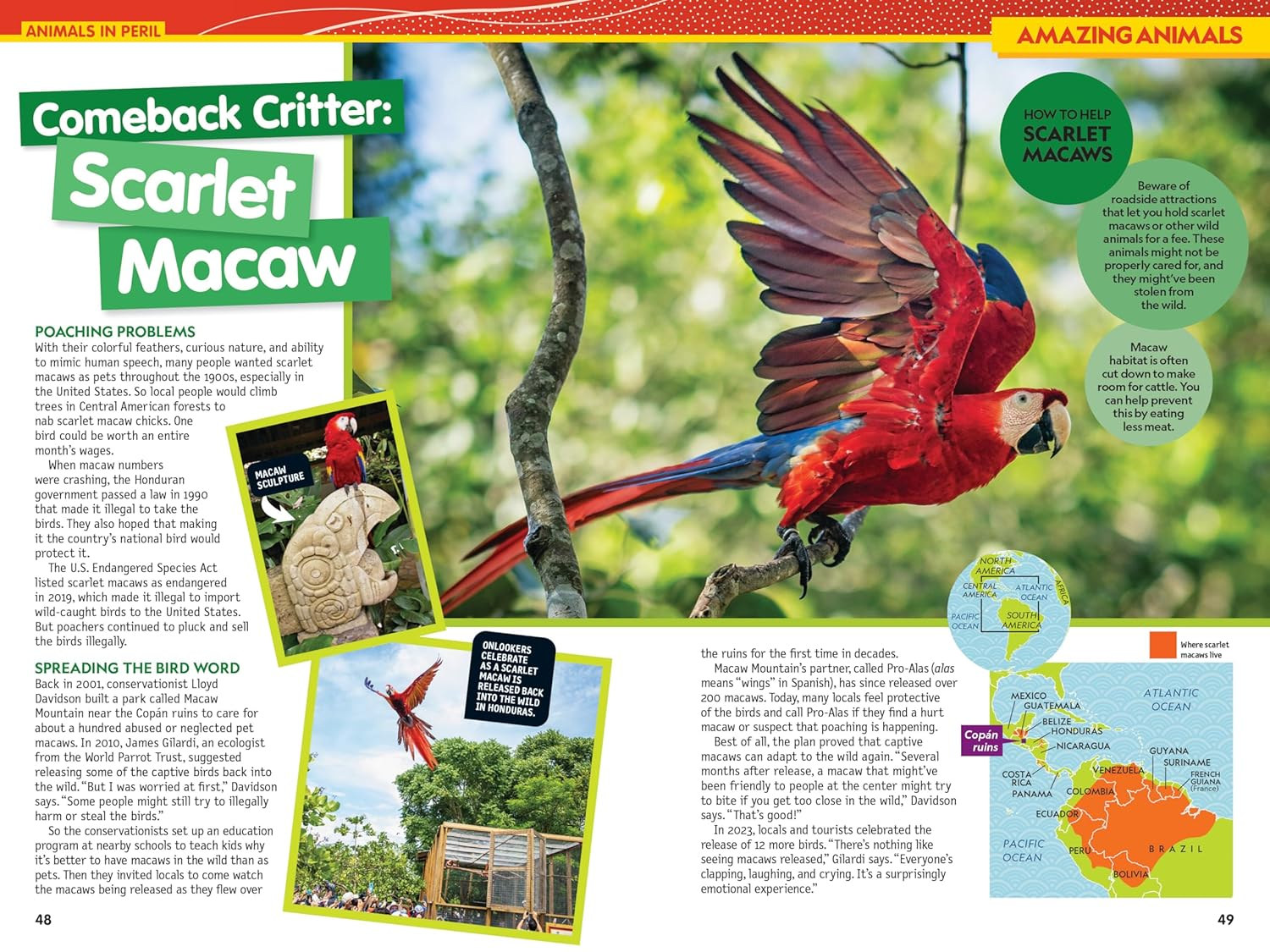 National Geographic Kids Almanac 2026 image number 1