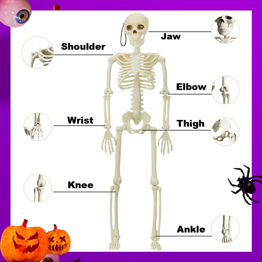 2 Pack Halloween Hanging Skeleton Decorations Full Body Posable Joints Skeletons 16 Inch Mini Skeleton Realistic Human Plastic Bones Halloween Outdoor Indoor Decoration, Halloween Skeleton Decor Movable for Haunted House Props Halloween Party Decoration