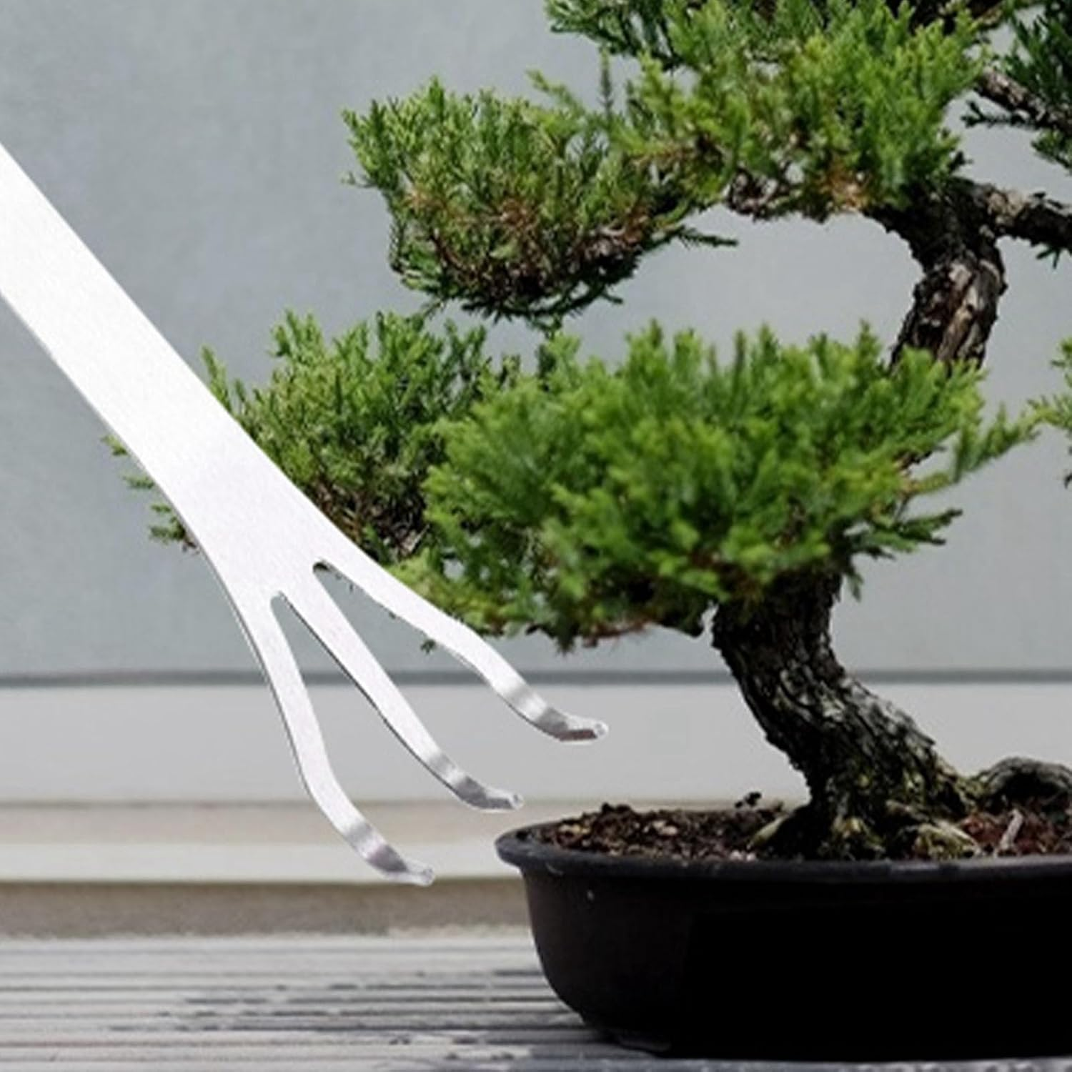 Stainless Steel Rake 3 Prong Loosen Soil Bonsai Tree Tools, Ergonomic Handle for Easy Gardening Enjoyment image number 5