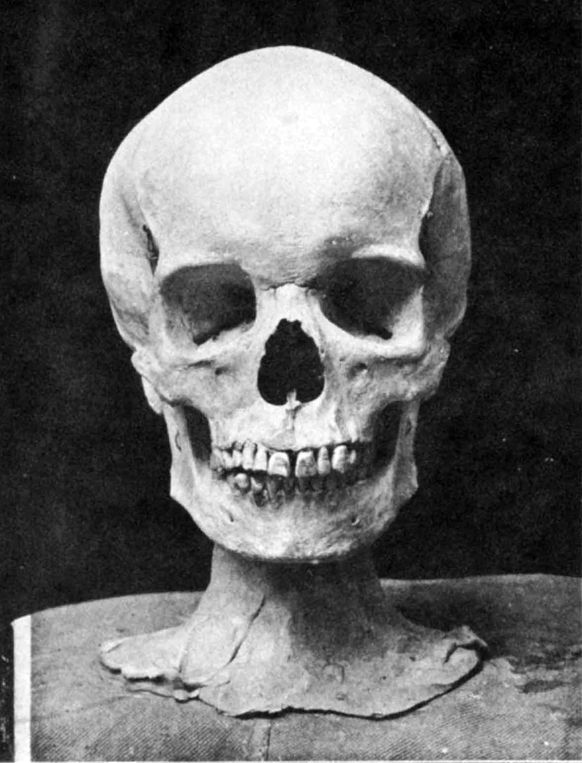 Modelling and Sculpting the Human Figure image number 2