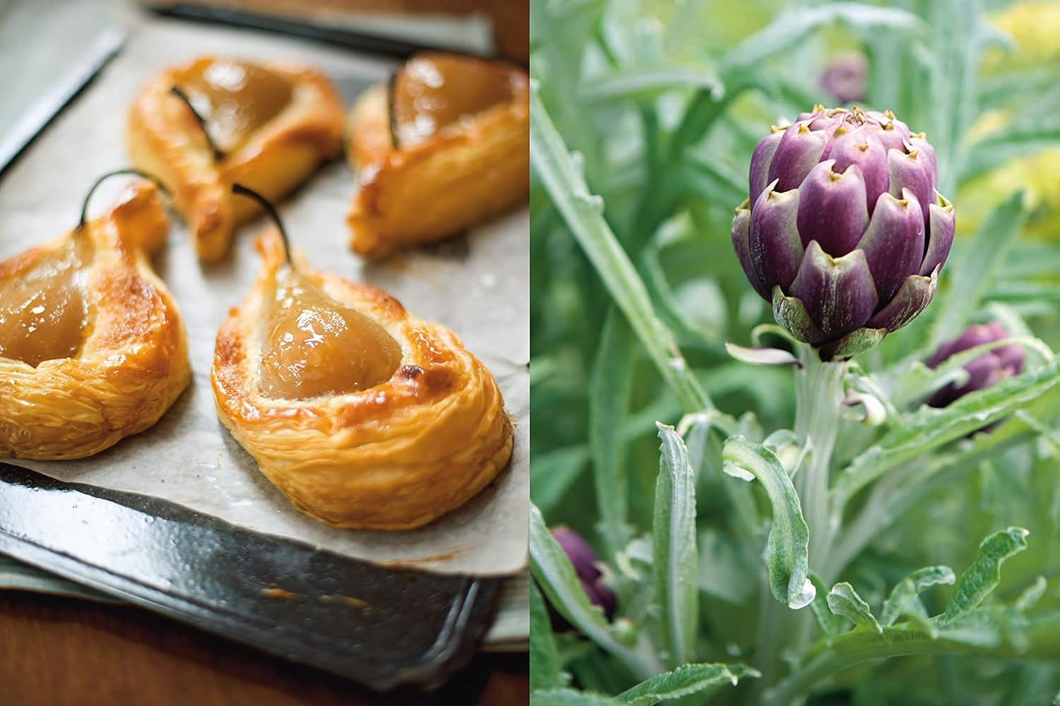 Stephanie Alexander'S Kitchen Garden Companion image number 3