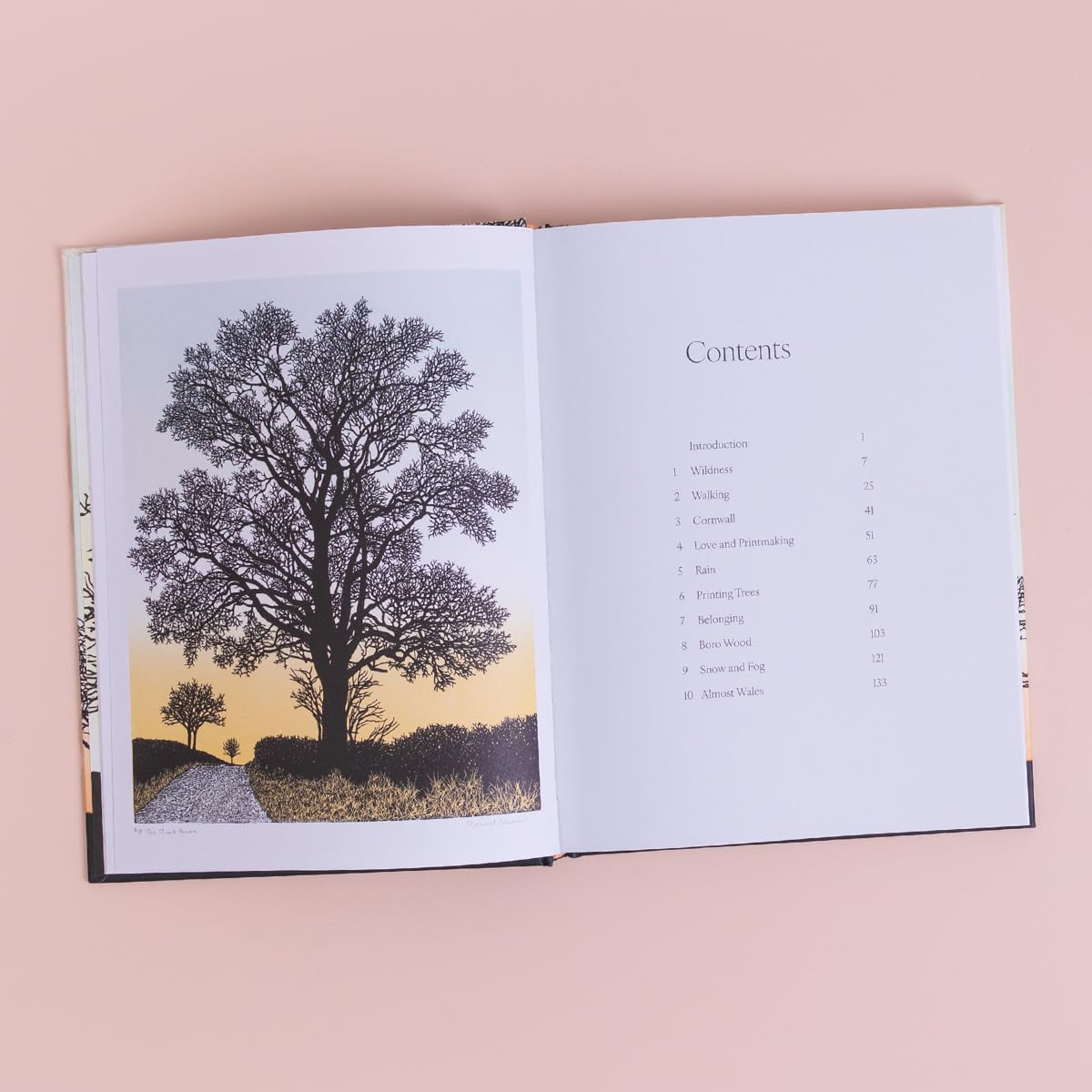 Trees in Winter: Fully Illustrated Edition image number 6