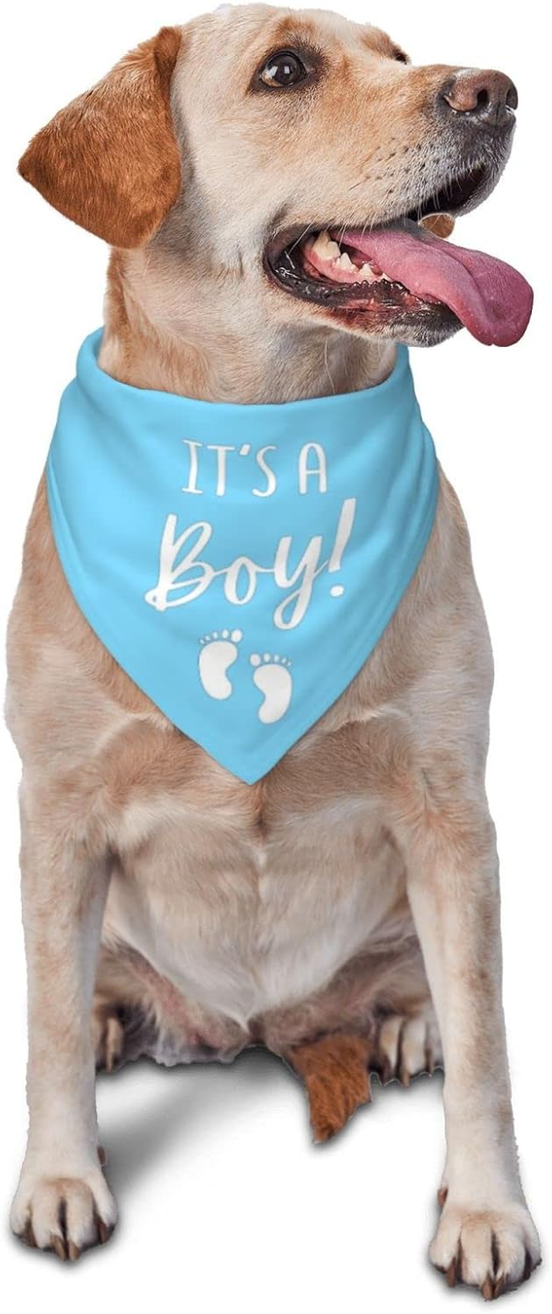Vercosee It'S a Boy It'S a Girl Gender Reveal/Baby Announcement Dog Bandana,Engagement Bandana,Pet Dog Triangle Scarf Reversible,Baby Shower Photography Props1Pack (Blue)
