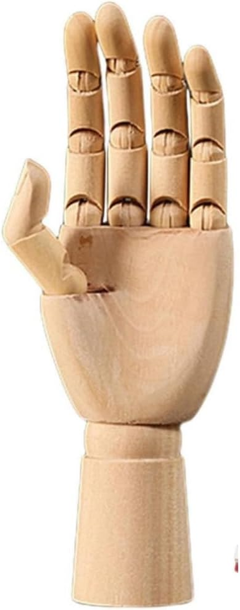 DACUAN 10-Inch Realistic Art Wooden Mannequins, Flexible and Movable Fingers and Wrist Joints, Left and Right Hand Art Mannequins for Sketching, Painting, Hand Jewelry Display (Left) image number 1